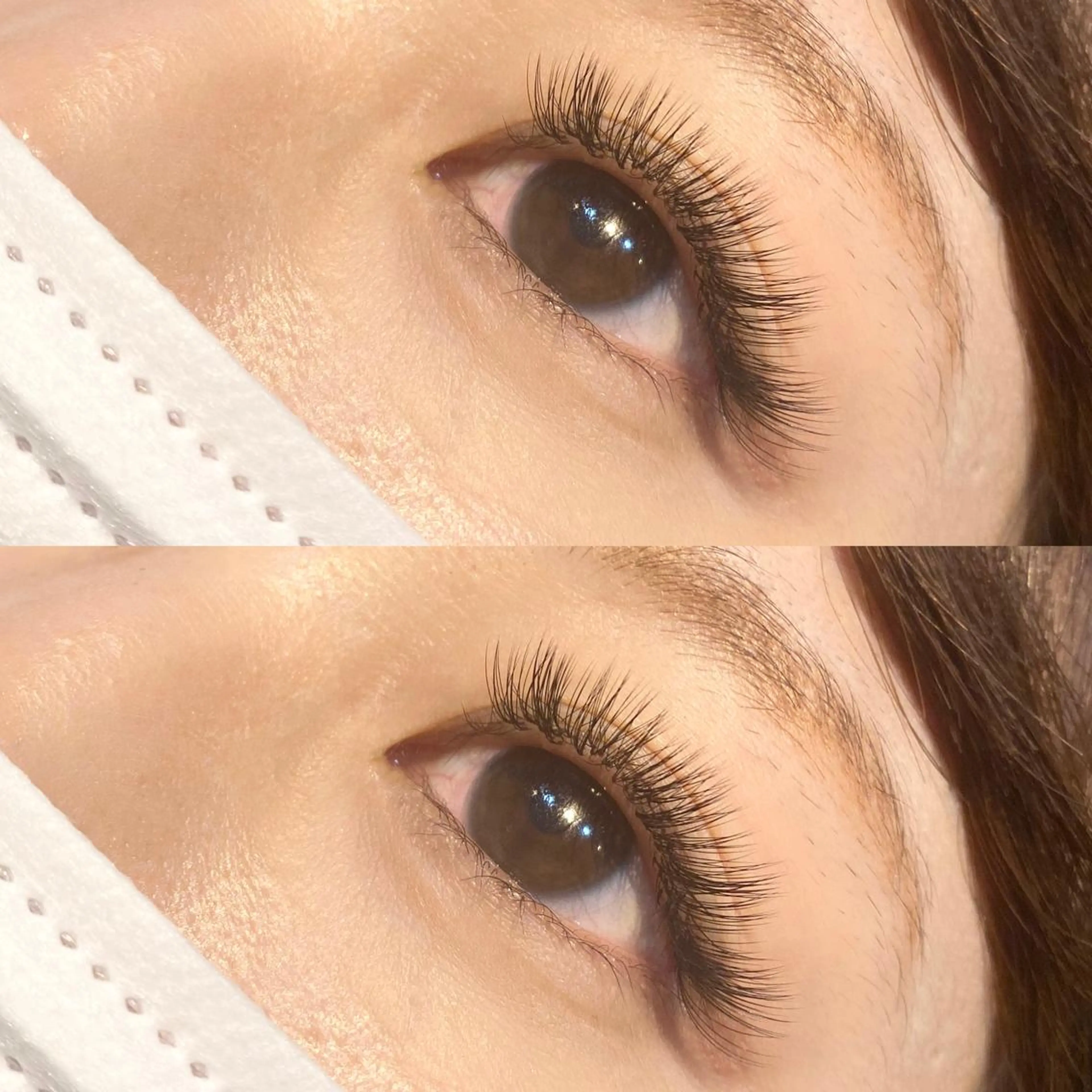 💎ボリュームラッシュ400本¥6200 / 500本¥6900💎(再来＋¥1100)の写真