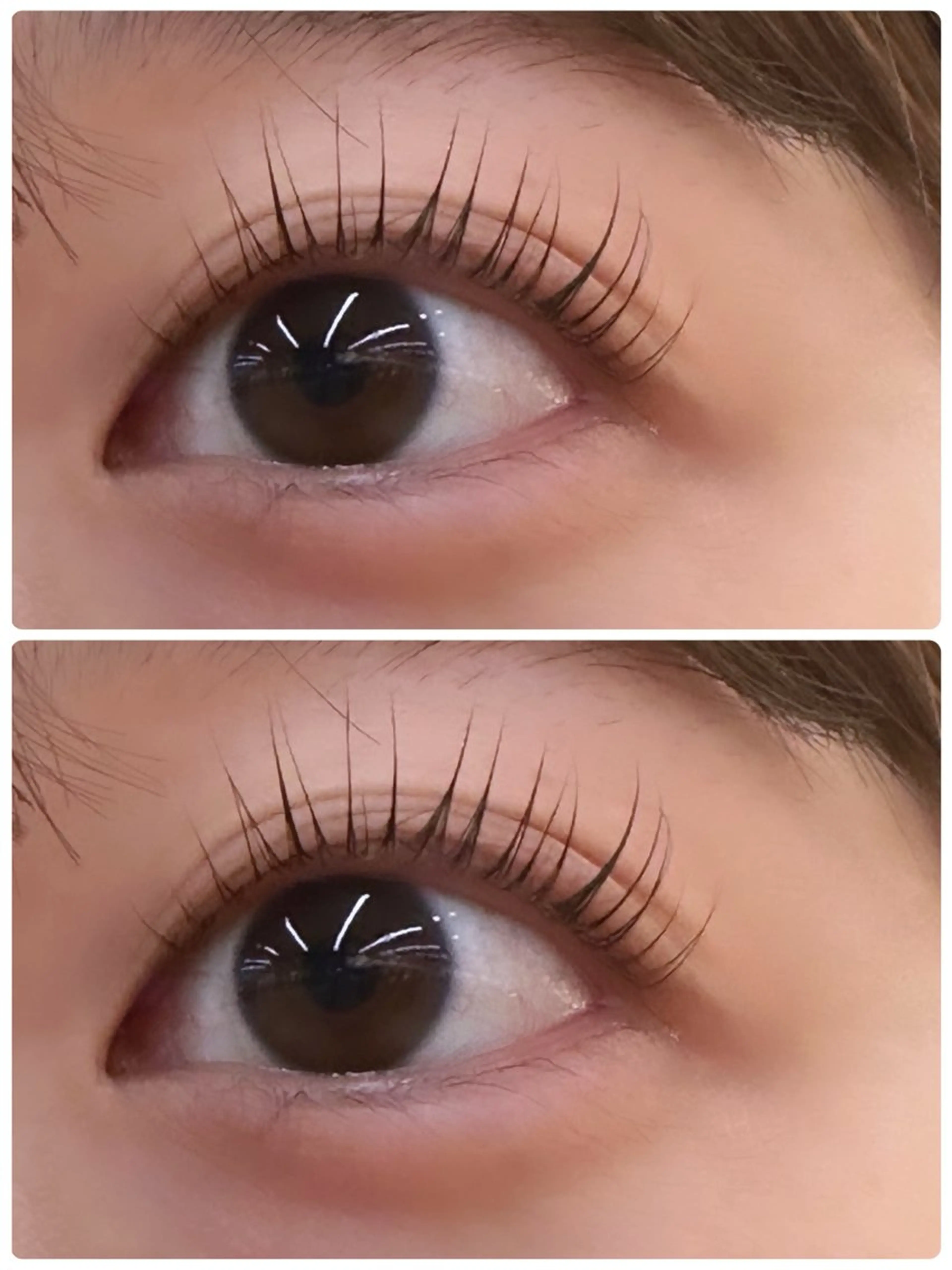 ‼️4/14.15.17.18.19 ご来店の方限定価格‼️まつ毛パーマ✨(パリジェンヌラッシュリフトへの変更可能)の写真