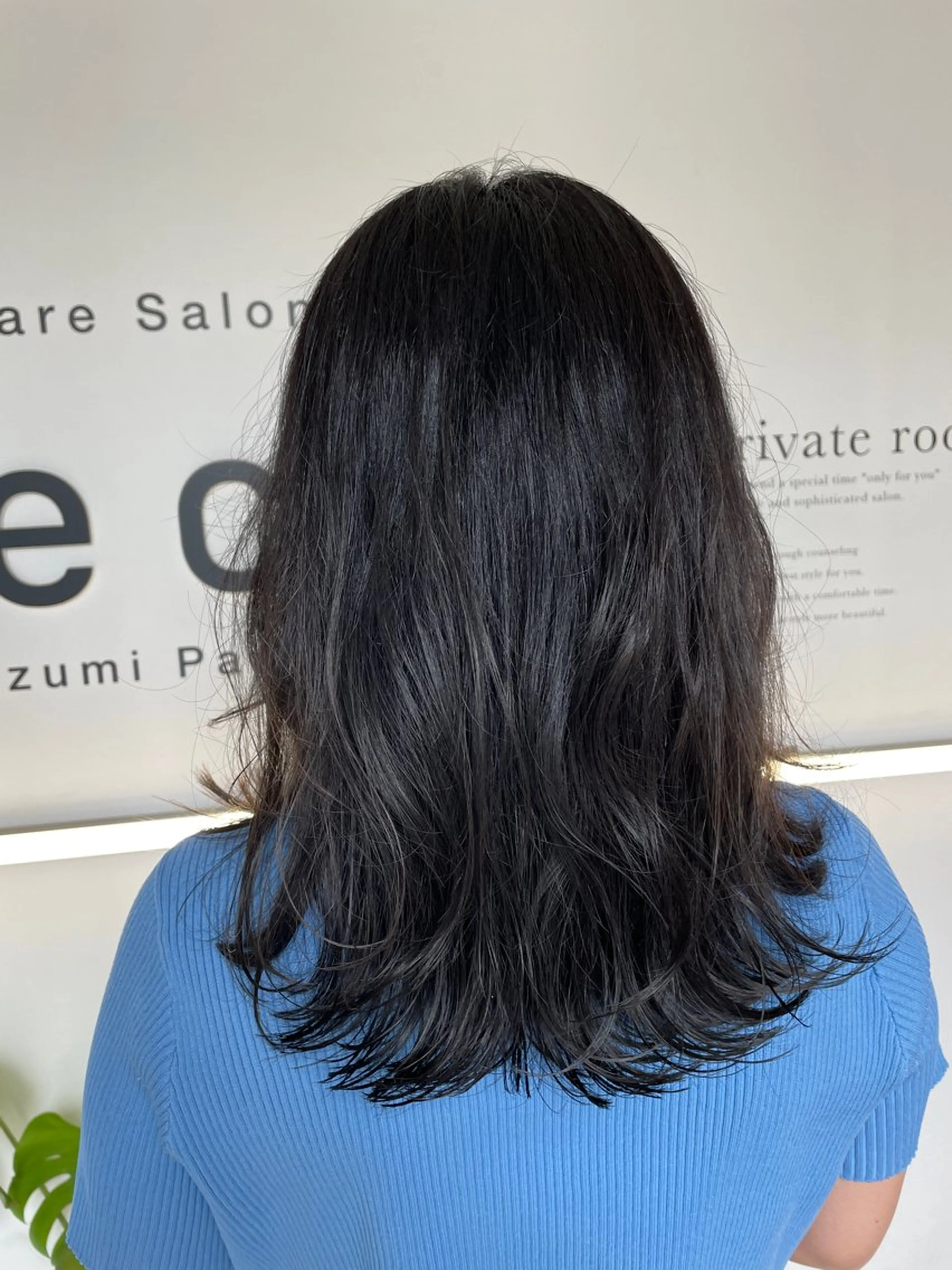ミディアム カラー 黒髪 グレーブラック レイヤーカット ローレイヤー カット ヘアカラー トリートメント 末石 智のヘアスタイル