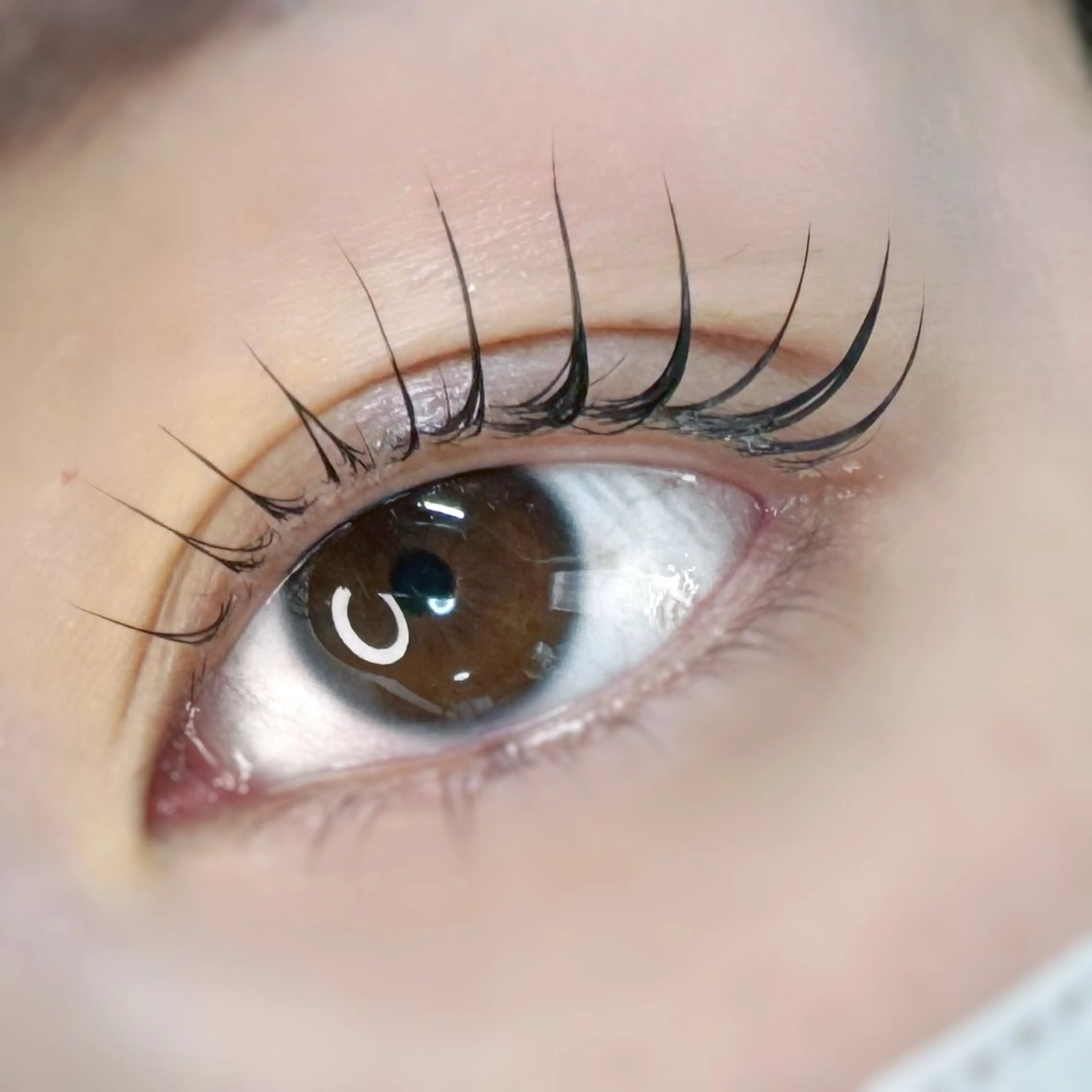 マツエク・マツパ KANOA【カノア】 Rinの眉毛・アイブロウイメージ