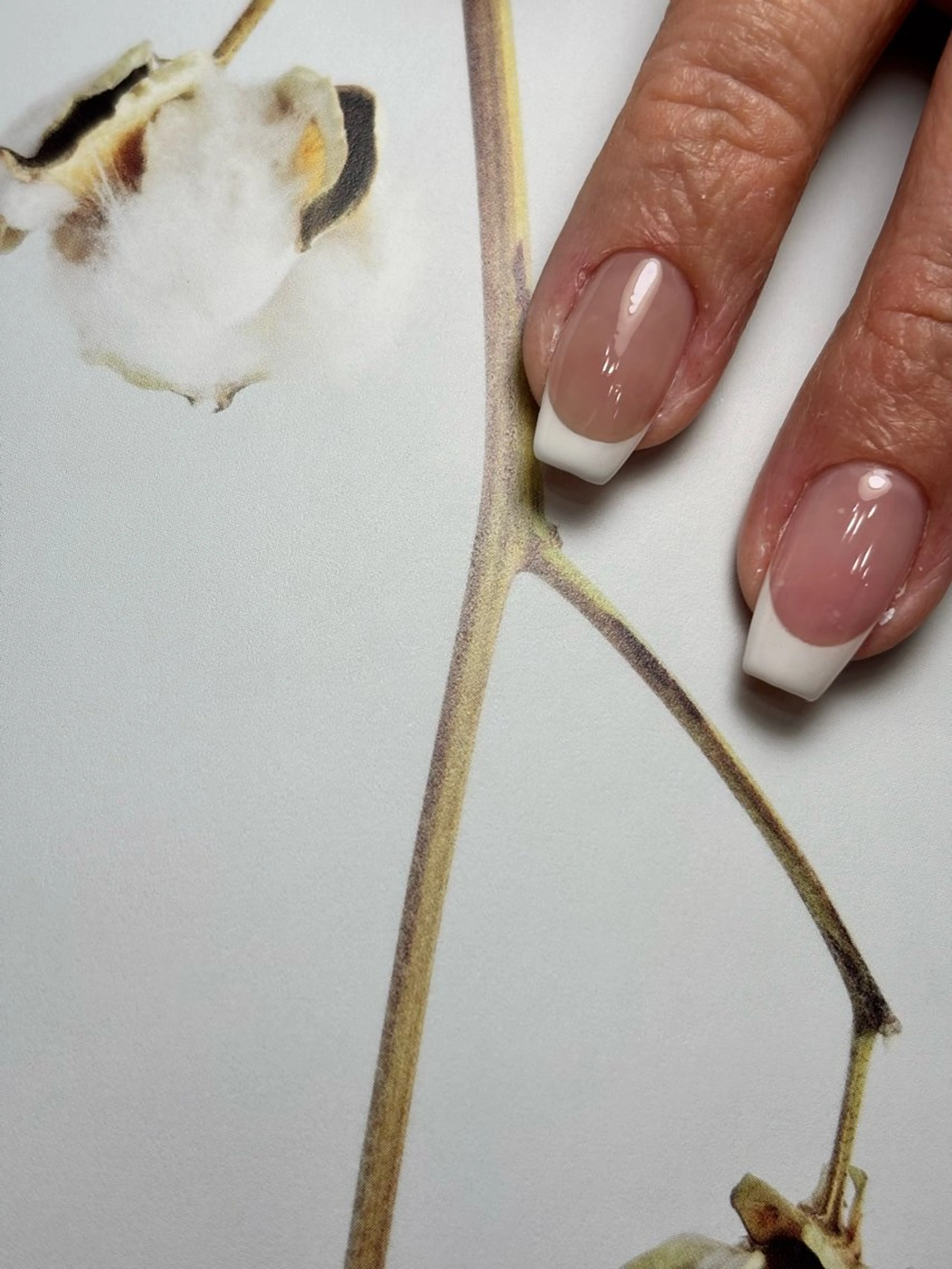 🥐フレンチ【オフ無し】の写真