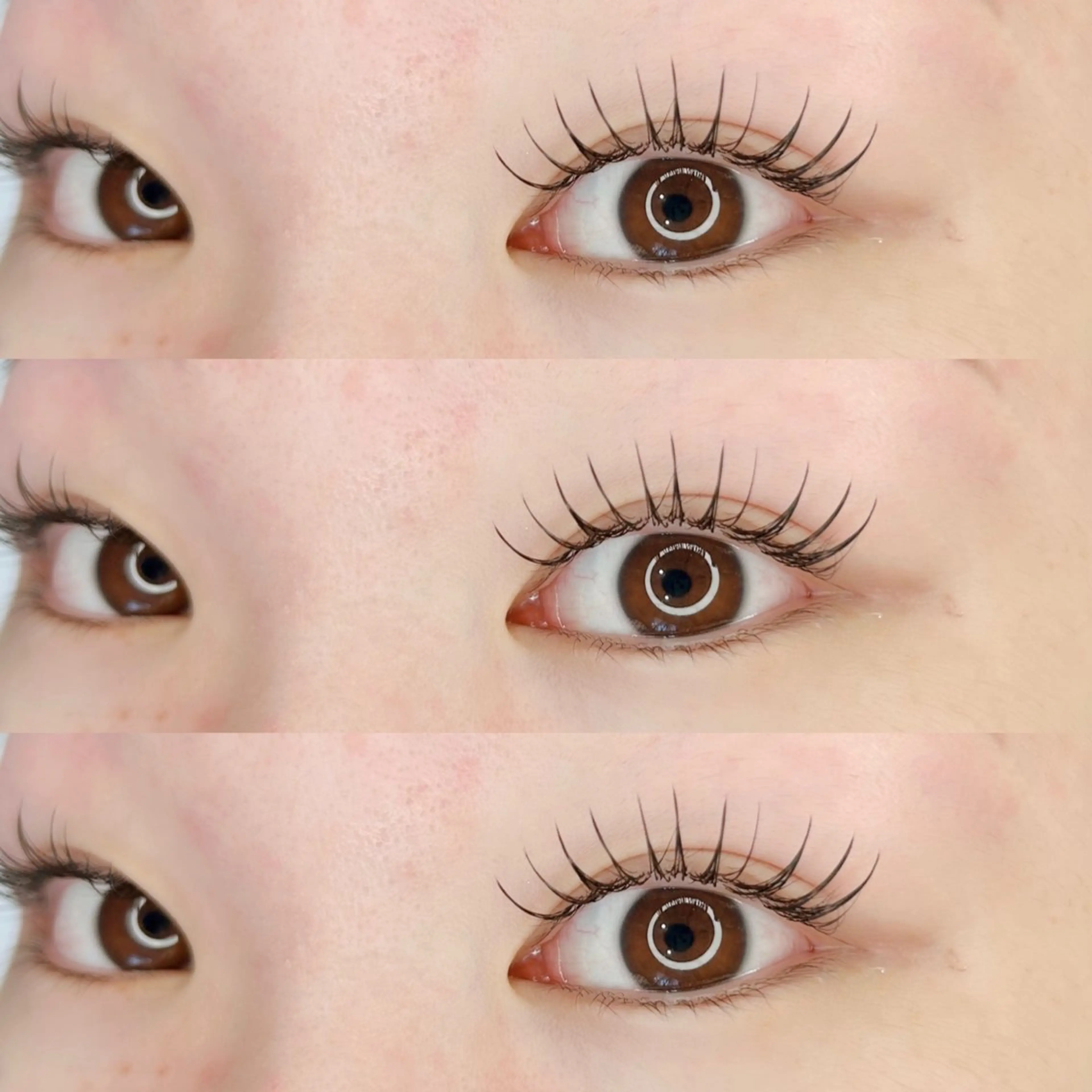 🫧minimo限定価格♡🫧🌷フラットラッシュ100本まで🌷コーティング仕上げ込み🌷の写真