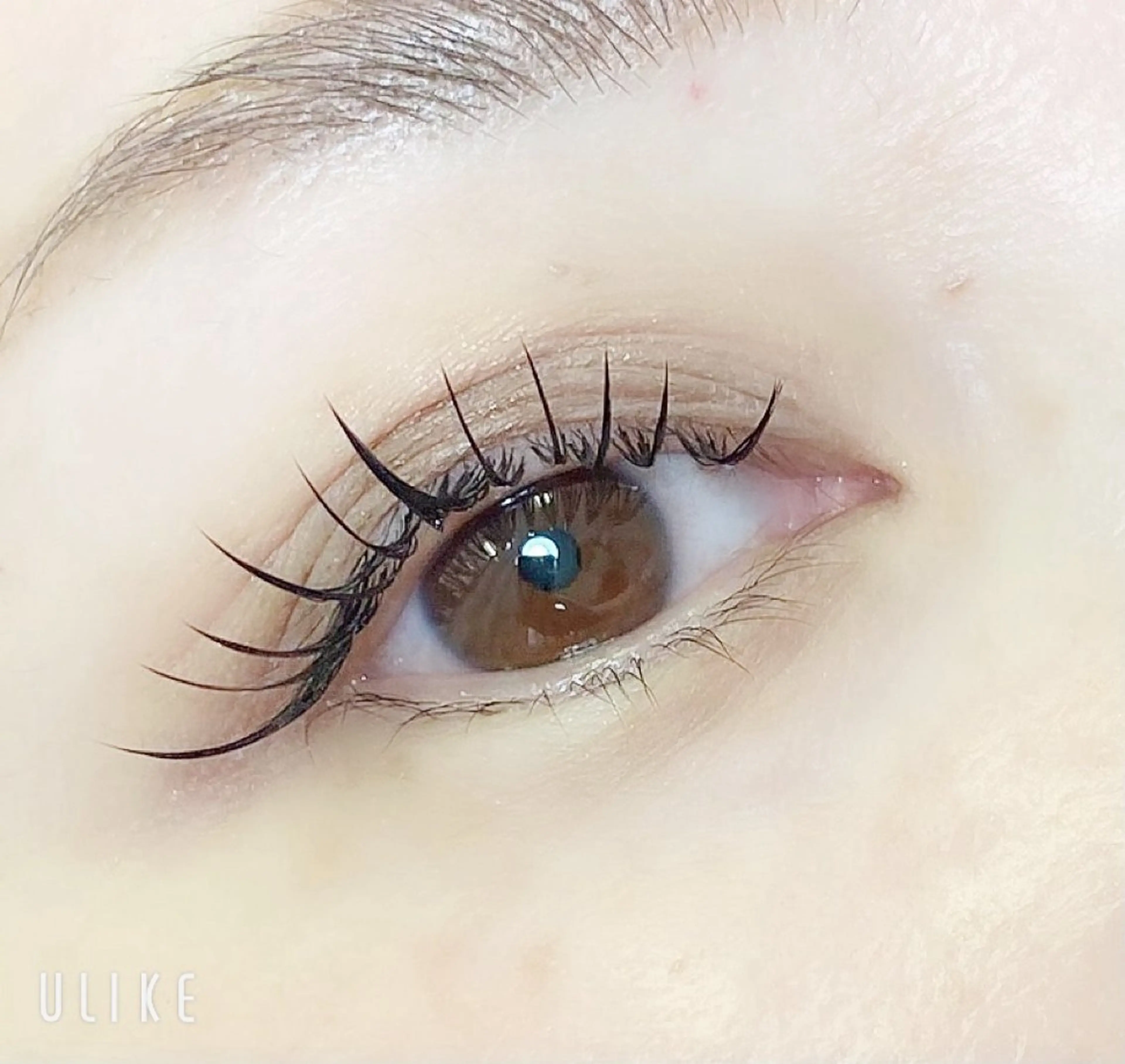 マツエク・マツパ alicetokyo 樋口のマツエク・マツパデザイン