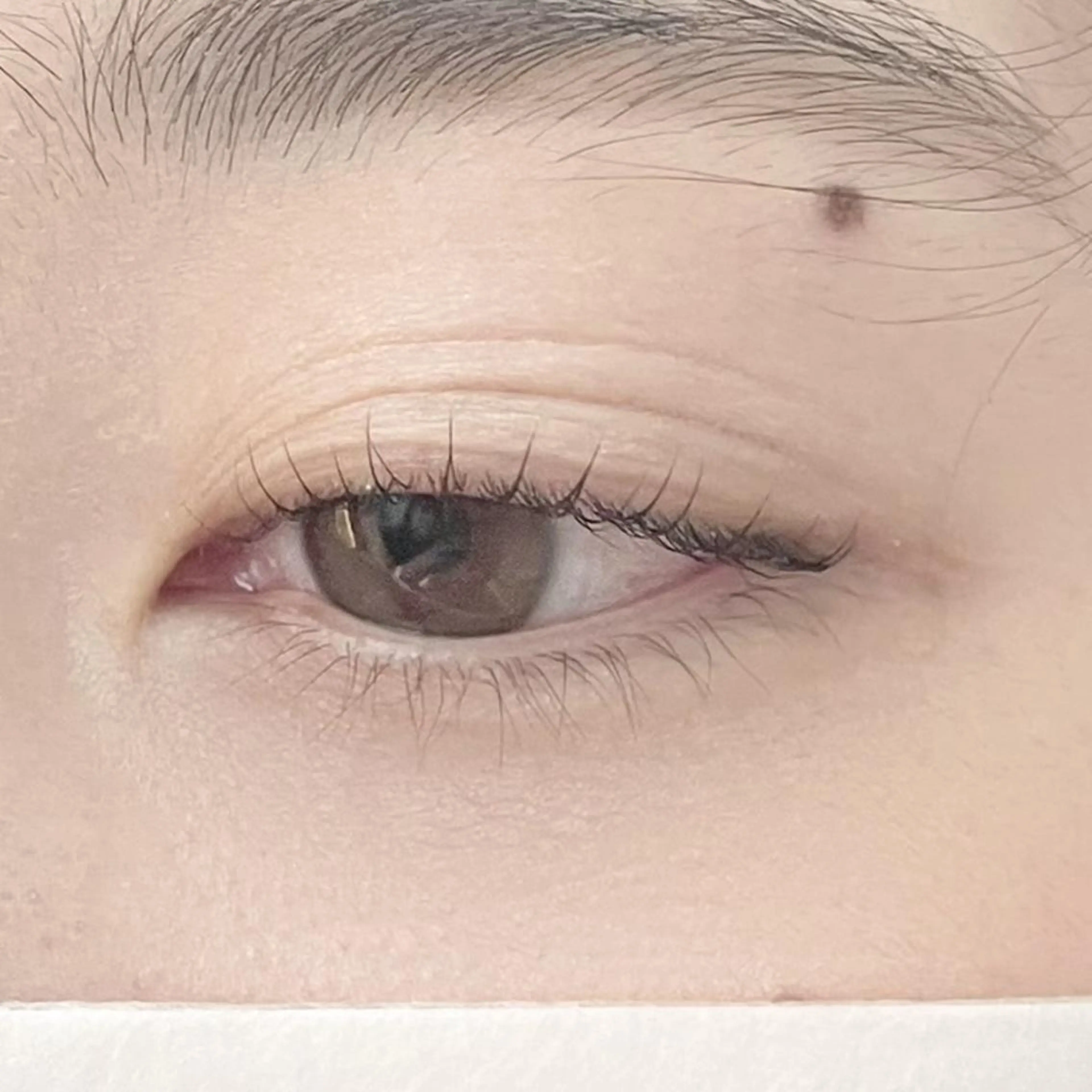 マツエク・マツパ バインドロック 束感まつ毛 フラットラッシュ 韓国風マツエク パリジェンヌラッシュリフト loa 幸町店のマツエク・マツパデザイン