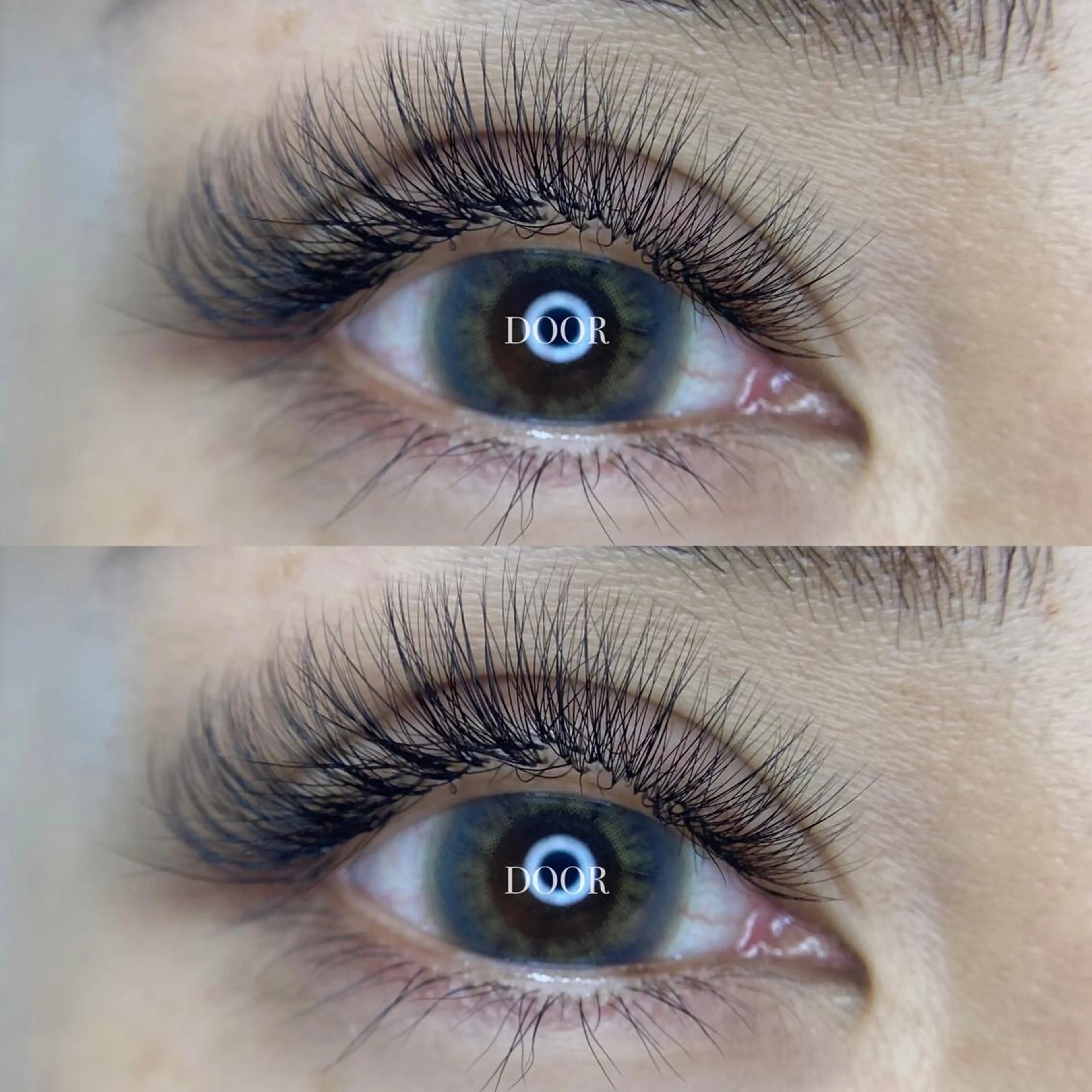 【 💡LEDエクステ💡 】ボリュームラッシュ 600本 ( 120束 )の写真