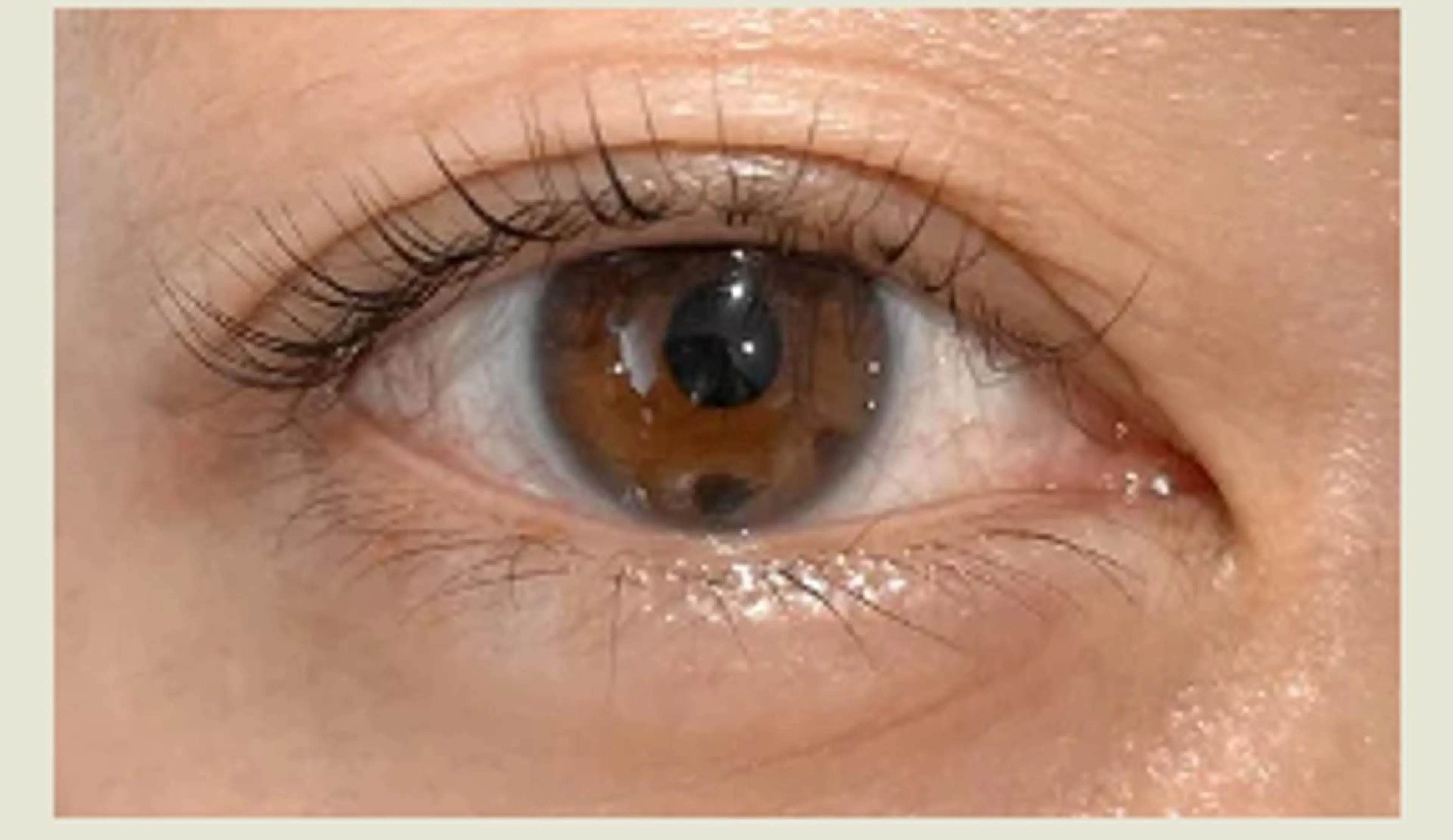 マツエク・マツパ プラスアイ 錦糸町店のマツエク・マツパデザイン