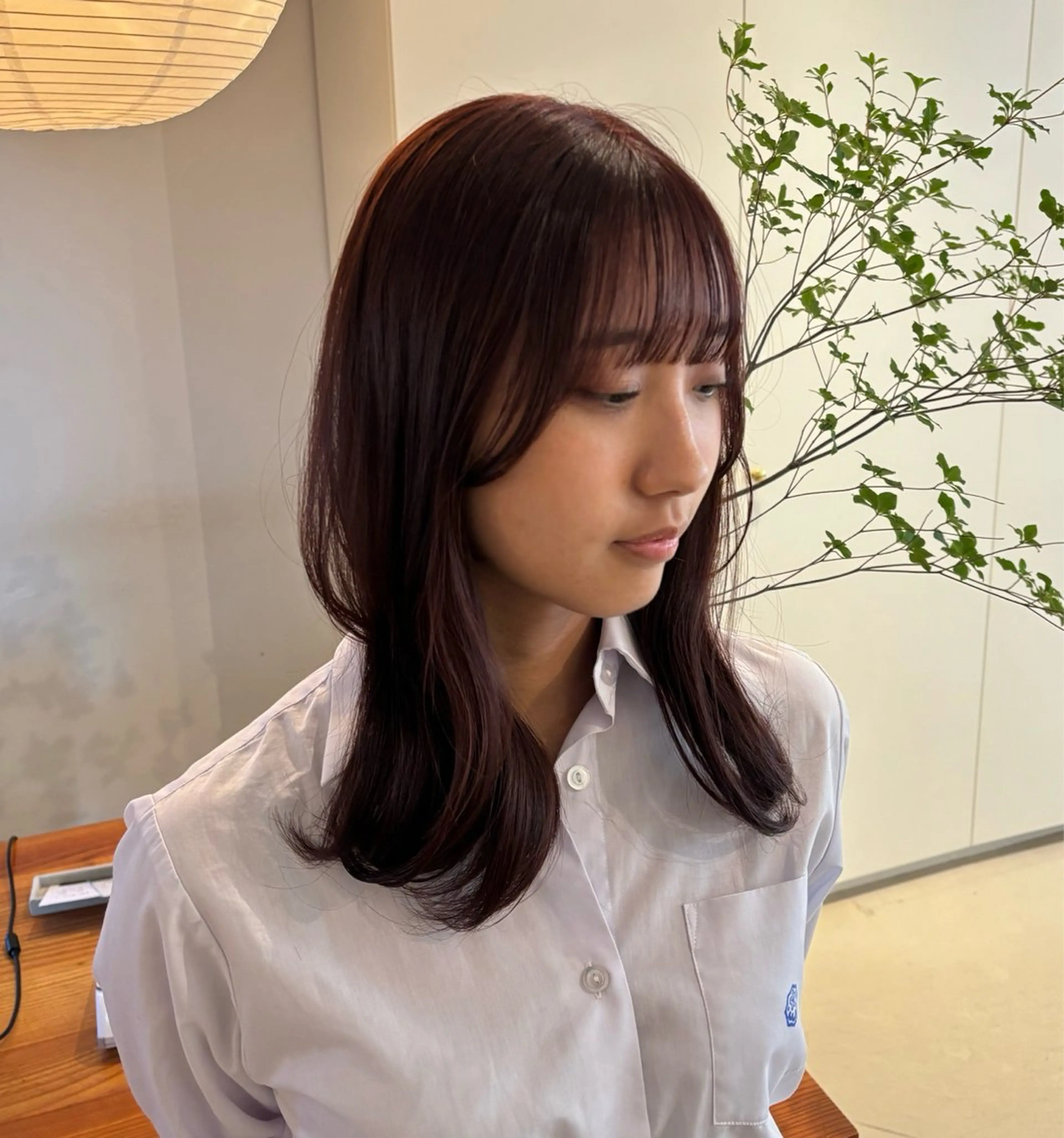 セミロング カラー ヘアカラー 透明感カラー /Kanon️🫧のヘアスタイル