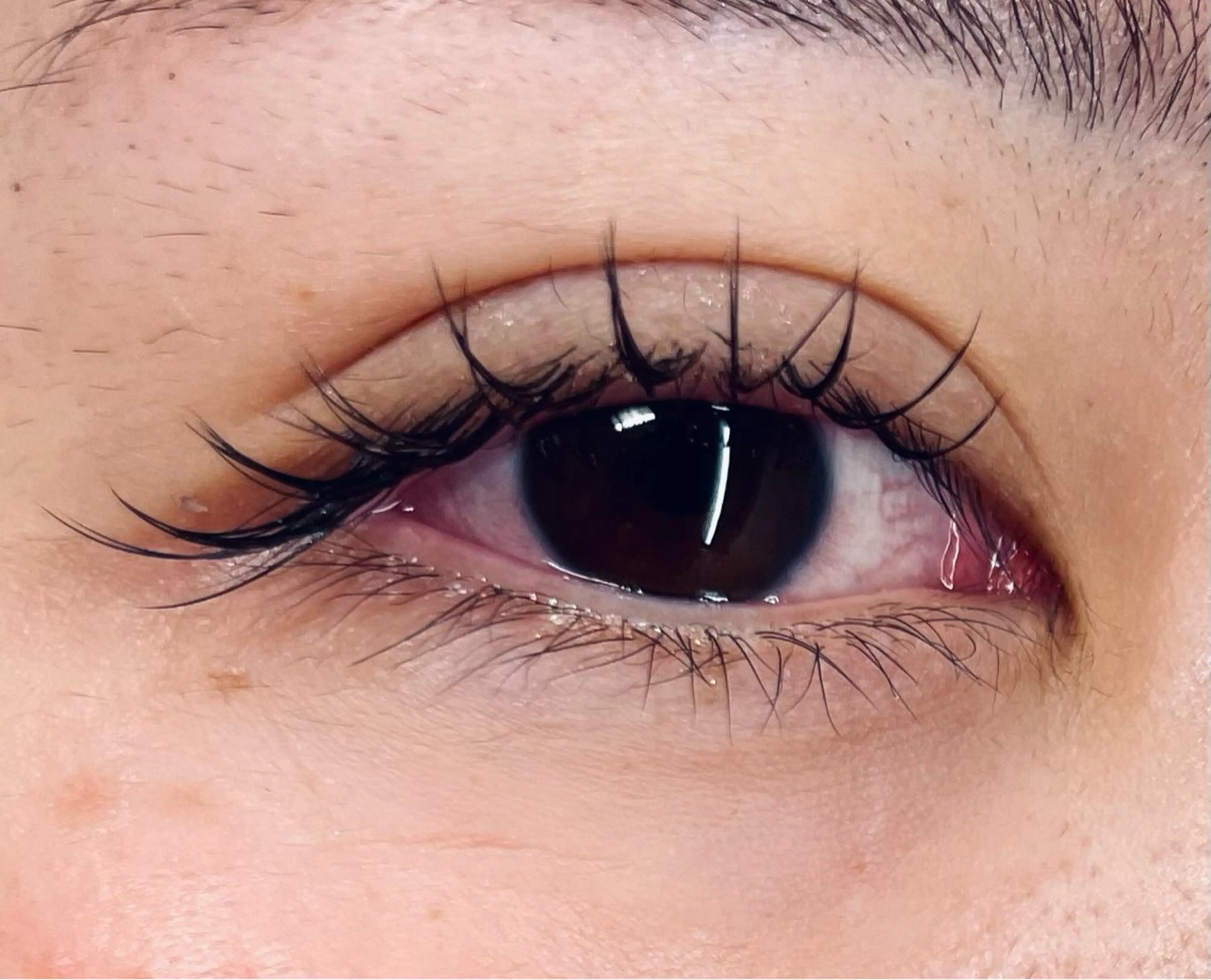 マツエク・マツパ マキア北上駅前店 田村のマツエク・マツパデザイン