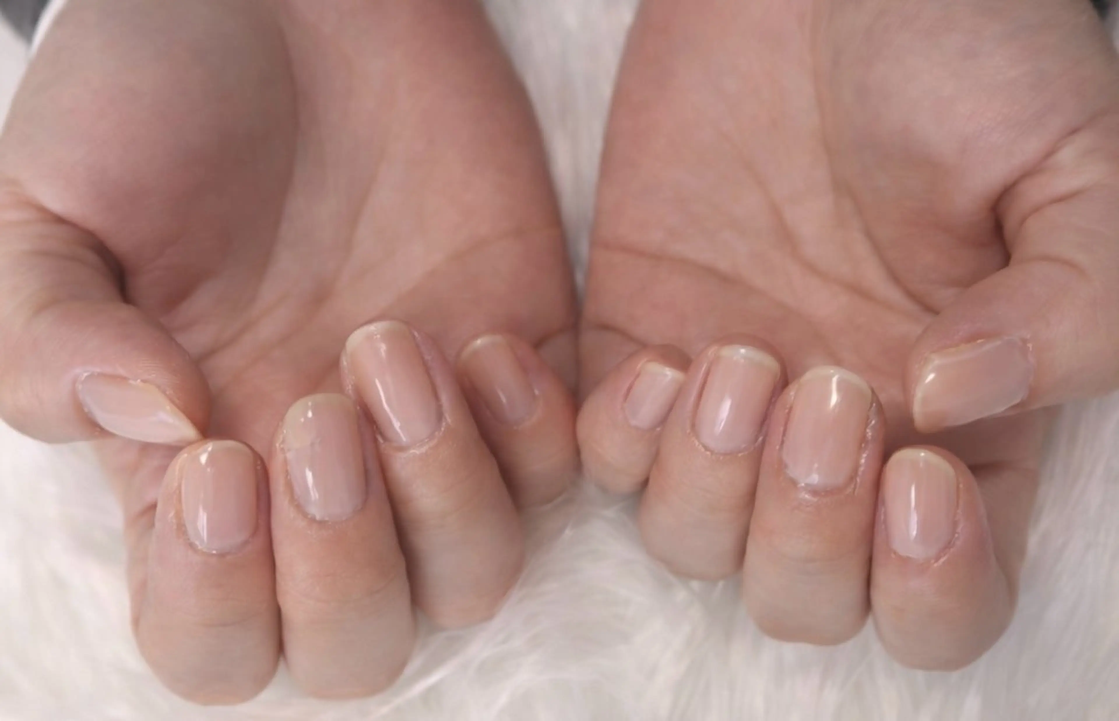 "(オフなし)"ジェルワンカラーの写真