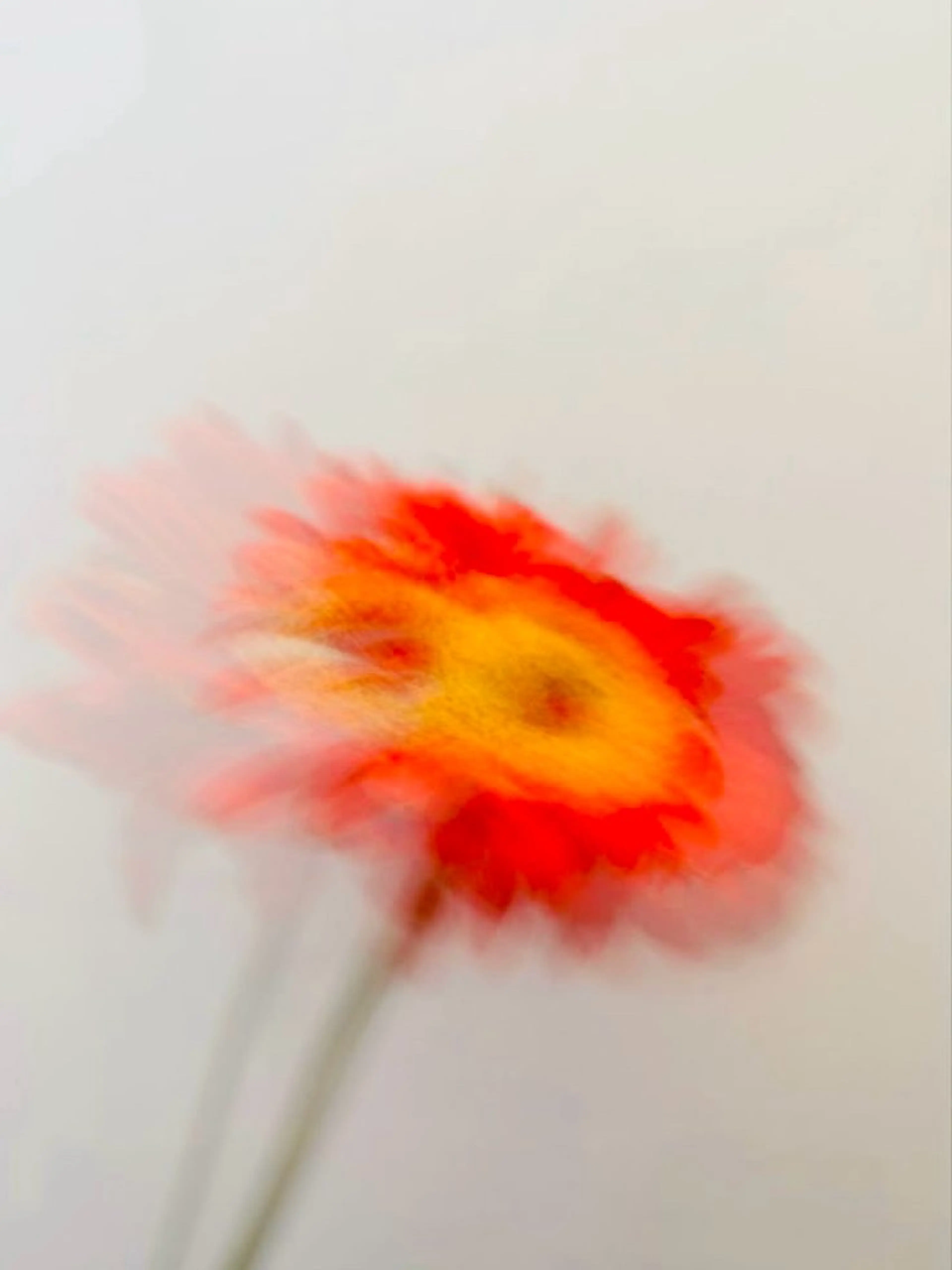 カット ヘアカラー トリートメント 小野 龍樹のヘアスタイル