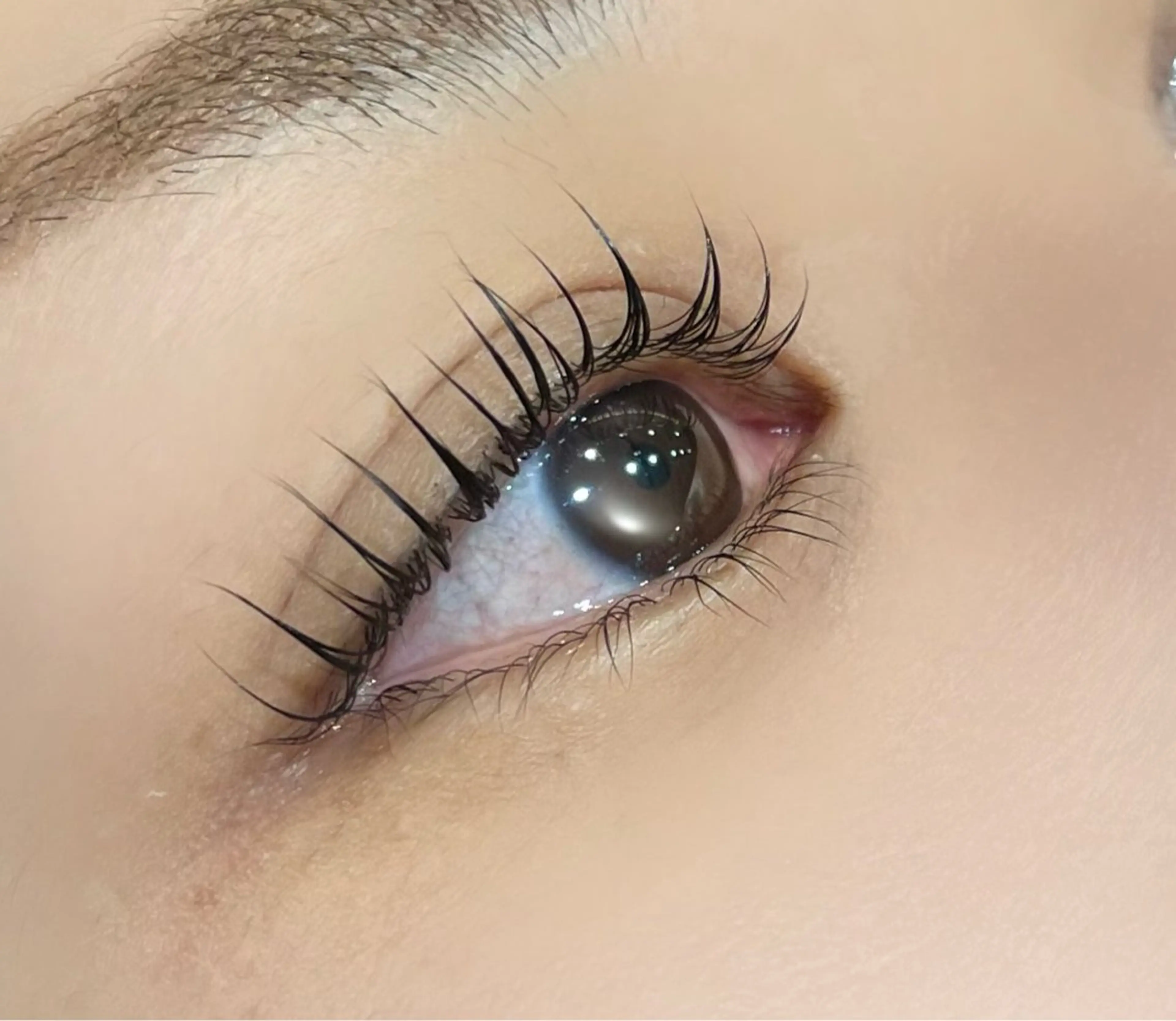 マツエク・マツパ マツパ 似合わせまつパ× 透け感カラー/ゆりのマツエク・マツパデザイン