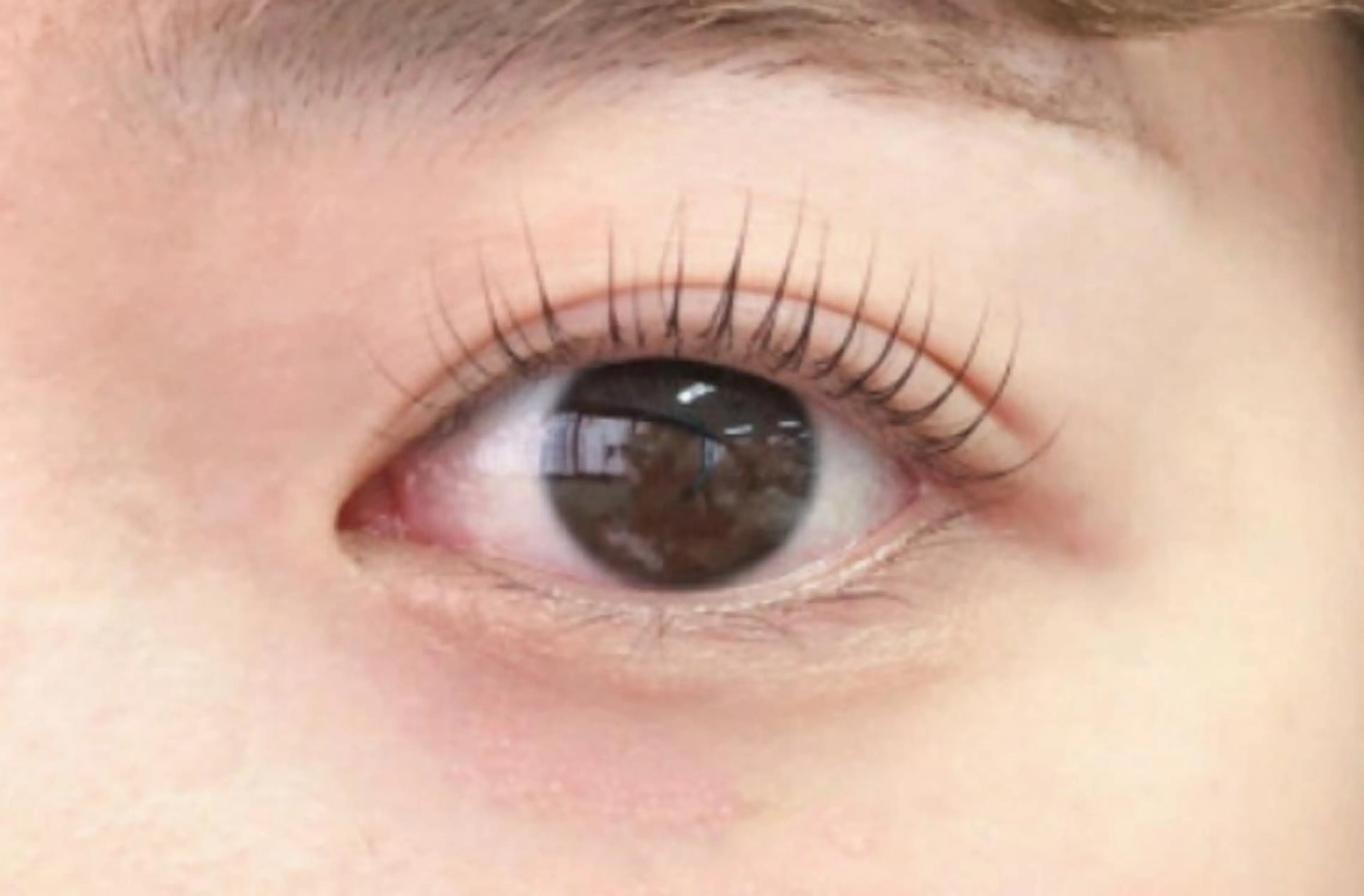 マツエク・マツパ loops目黒店 yukiのマツエク・マツパデザイン