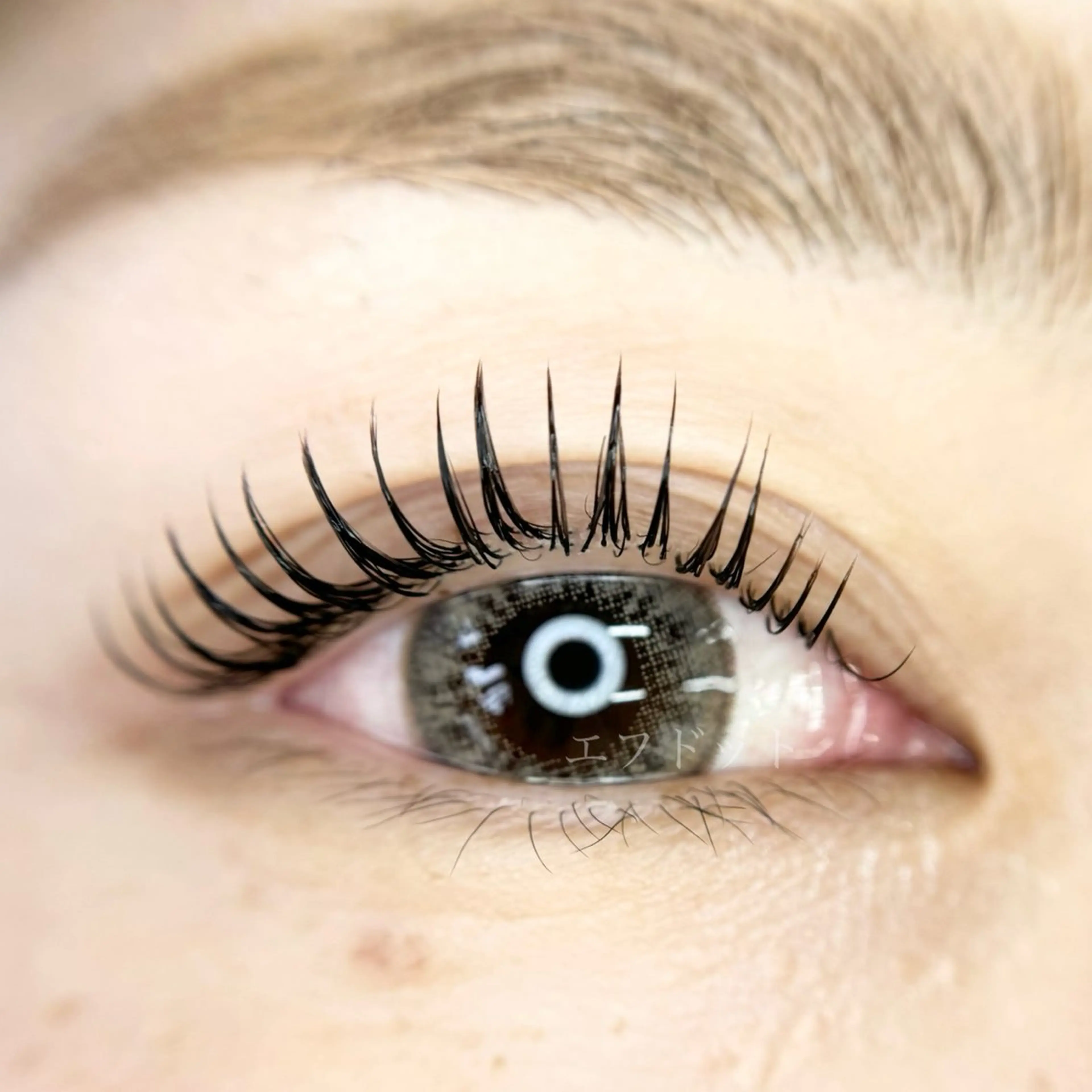 《LEDマツエク変更無料！》流行りのエクステ×パーマ（ナチュラルコース）¥10,900​〜​の写真