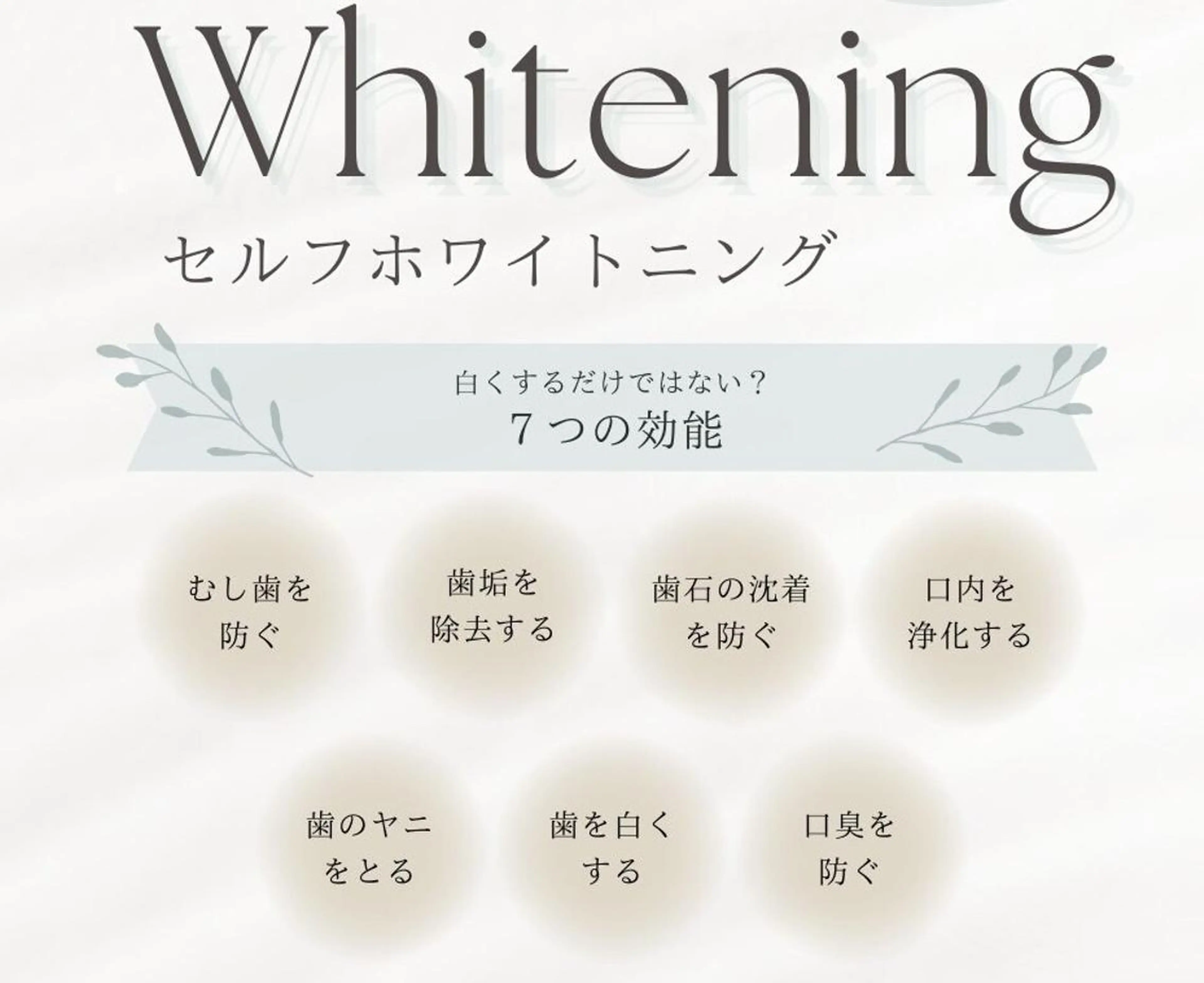 西田 力奈子のヘアスタイル