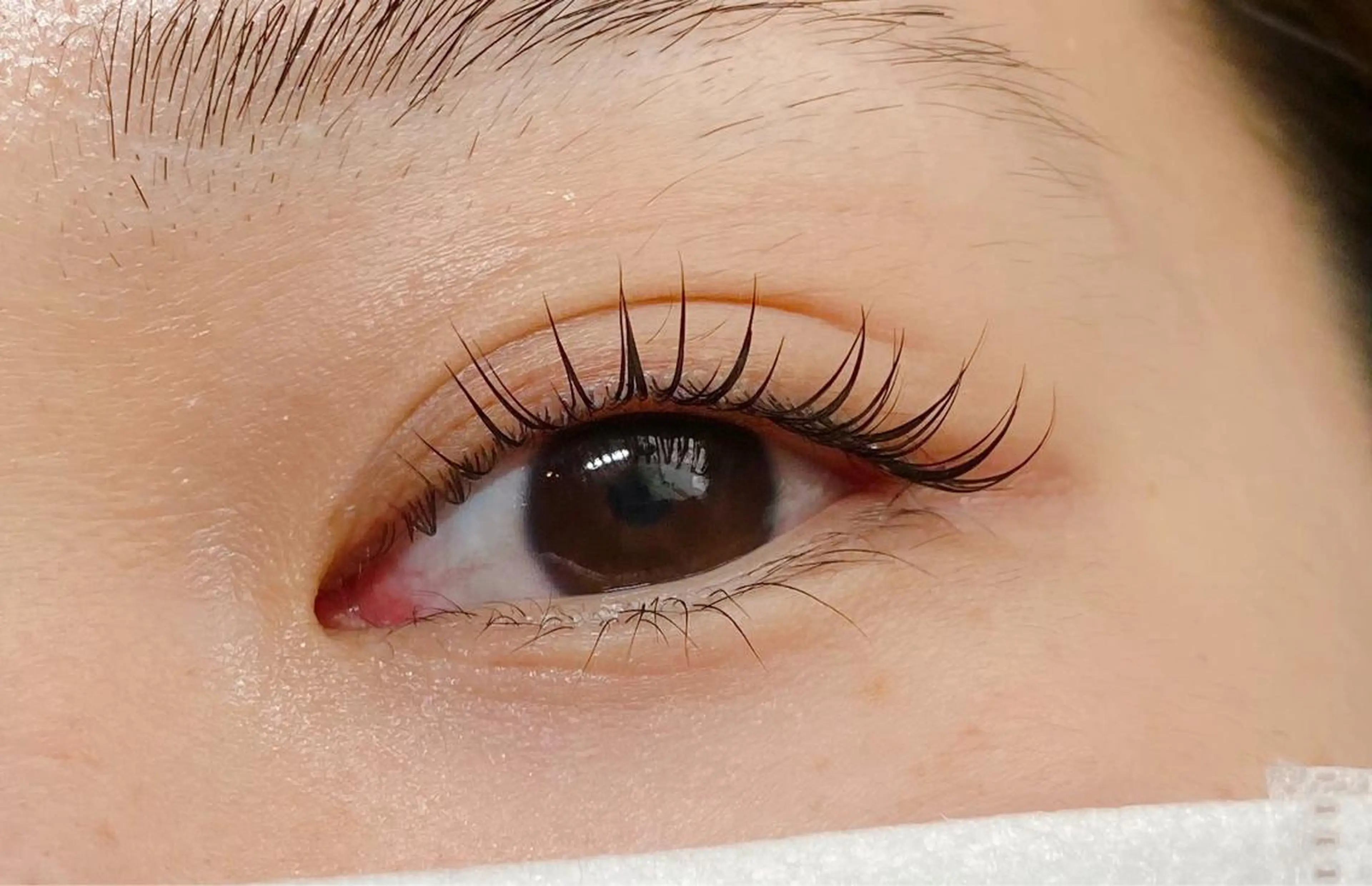 マツエク・マツパ CITRON ⭐︎のマツエク・マツパデザイン