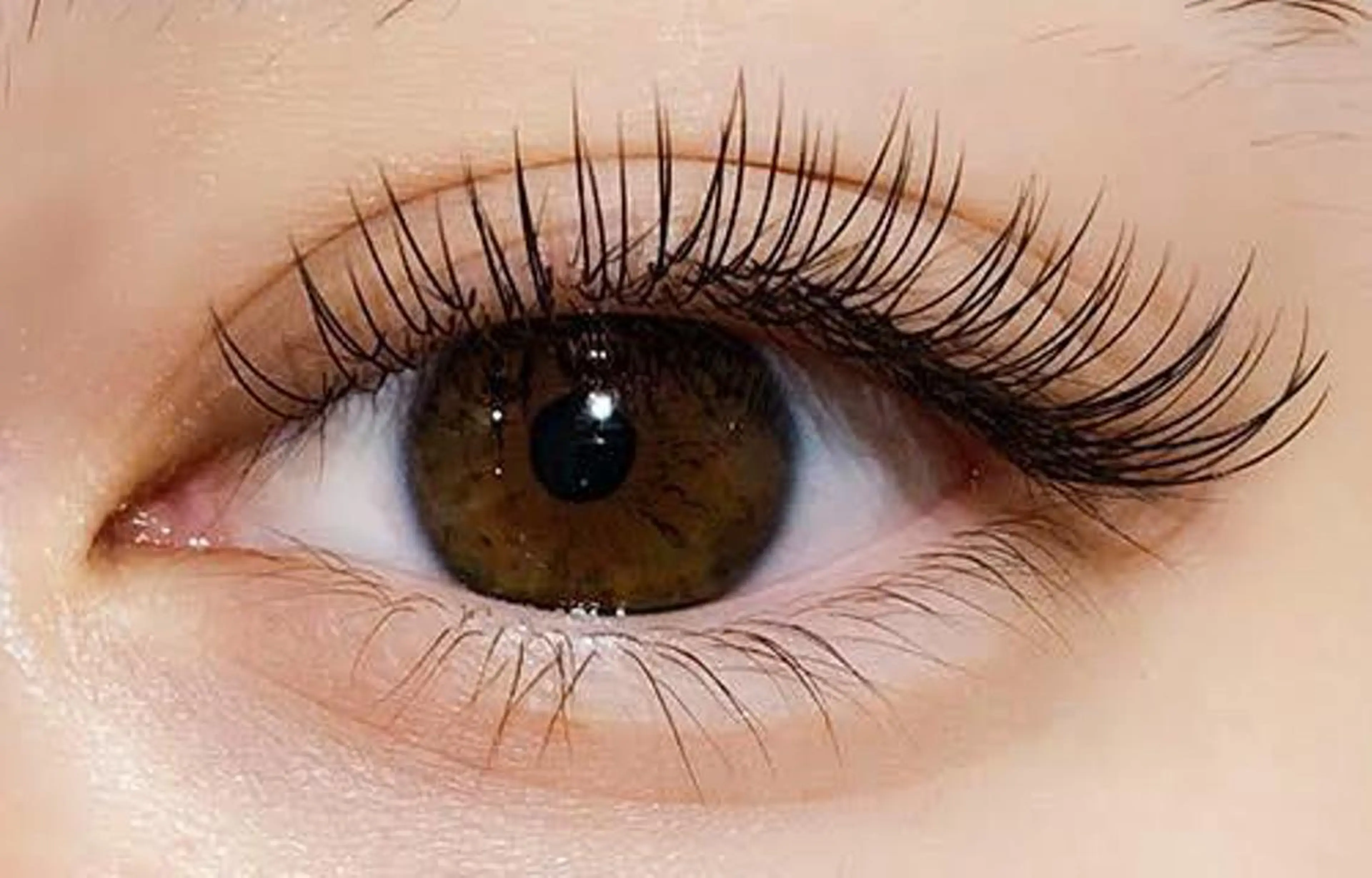 【初めてのボリュームラッシュ】3Dボリュームラッシュ150本（オフ無料）li♡e予約からの限定メニュー🌷の写真