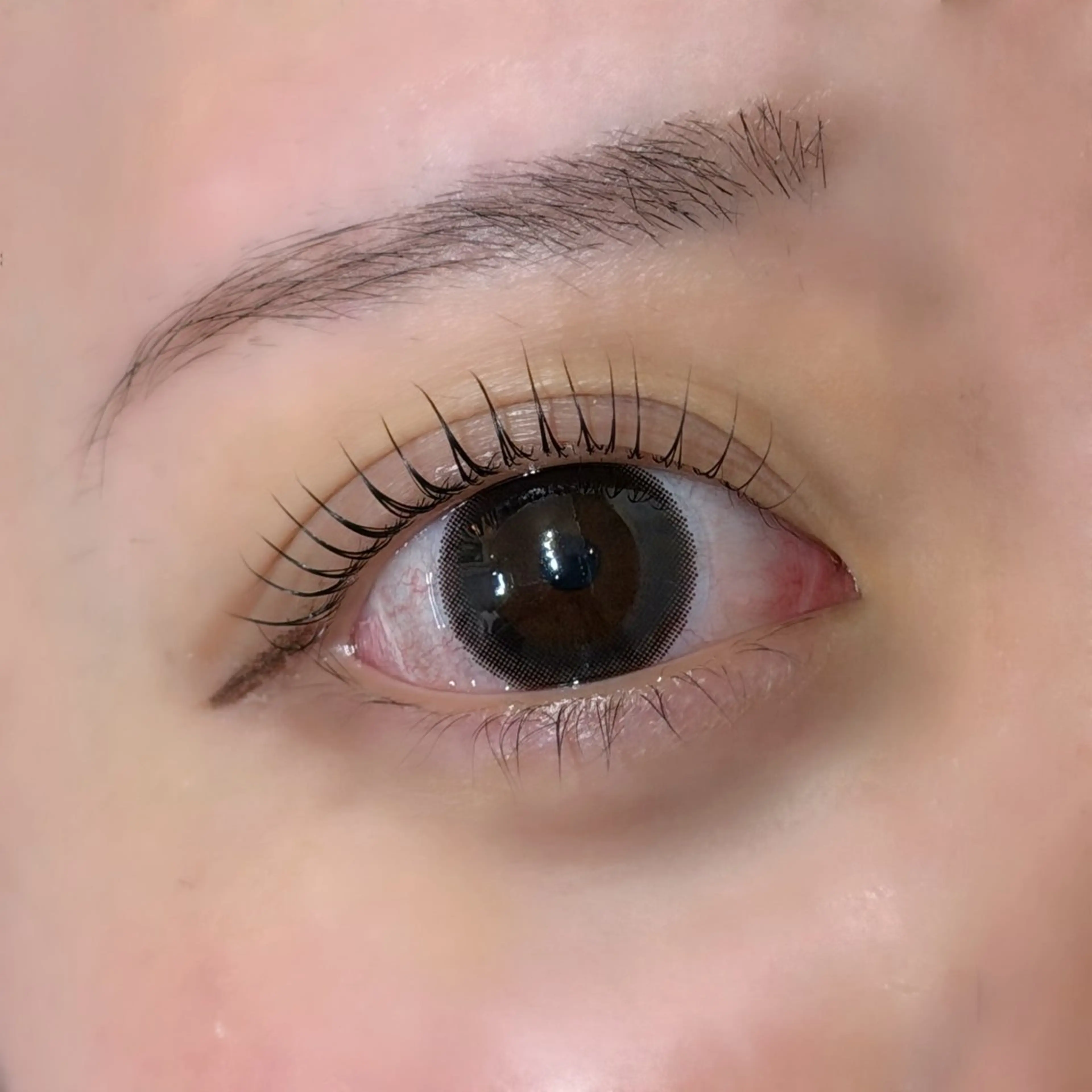 🫧まつ毛パーマ(上のみ)🫧束感コーティング仕上げの写真