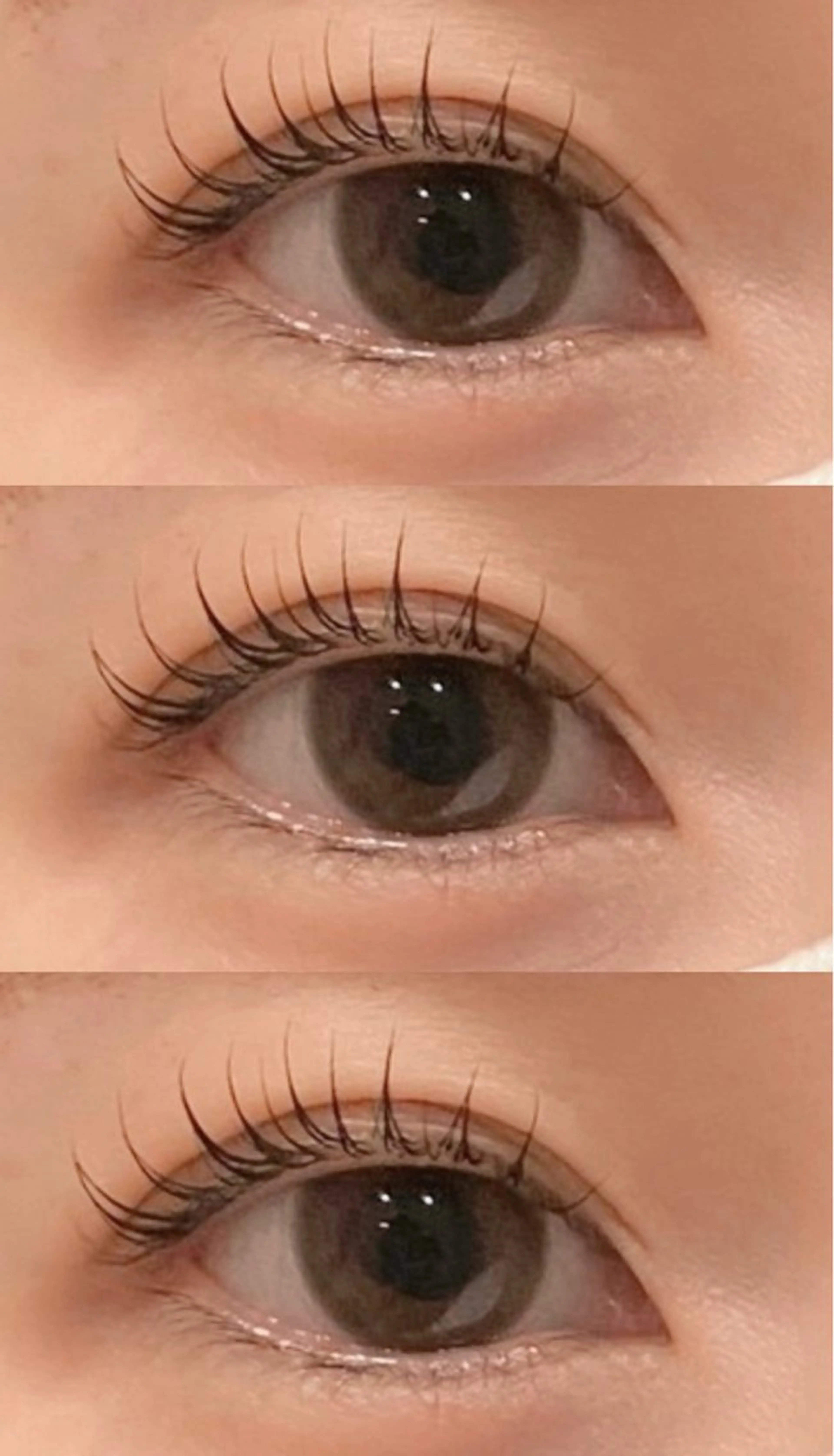 ラッシュリフト🪽orパリジェンヌ👀コーティング付きの写真