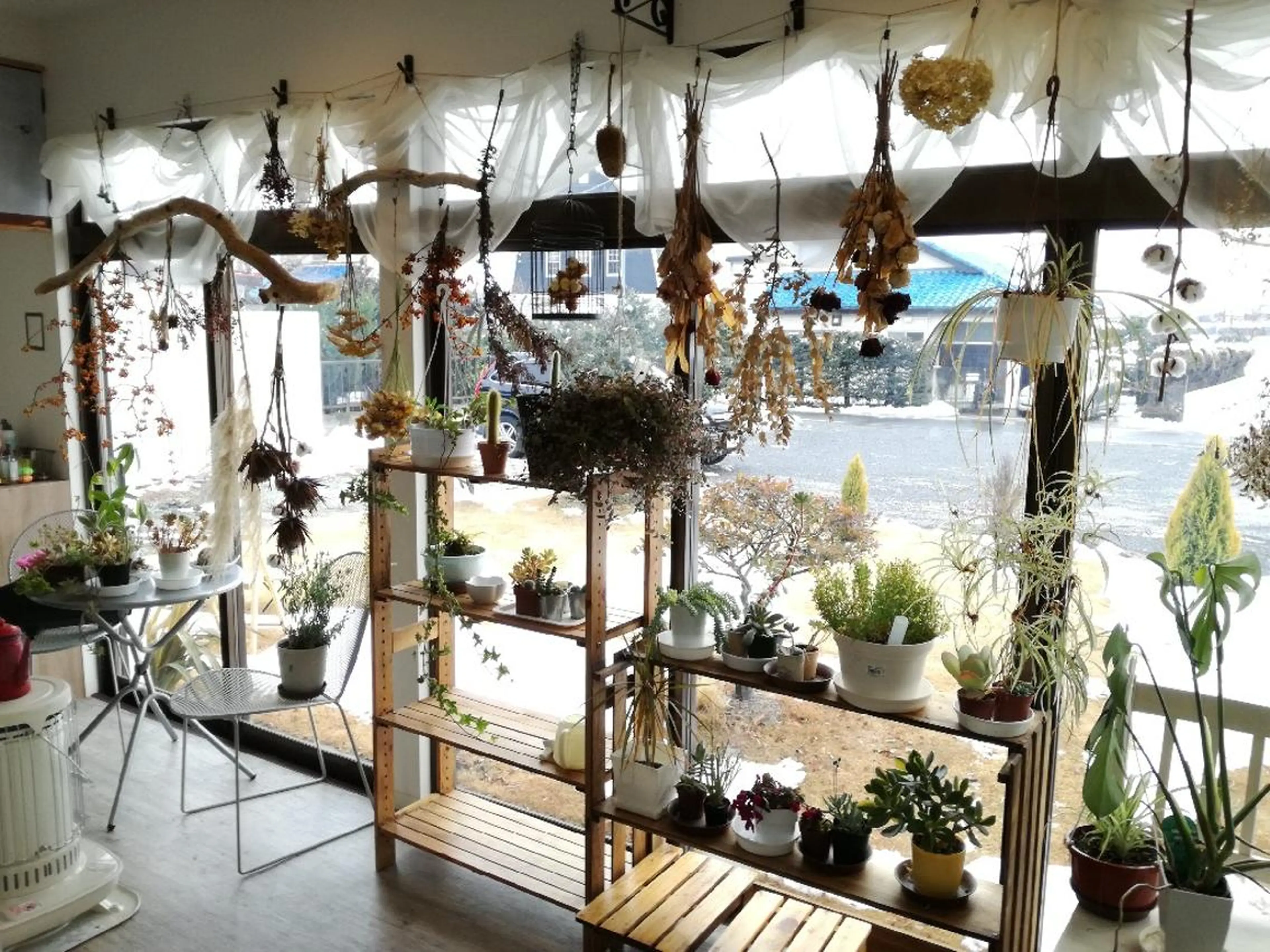 佐藤 美咲のヘアスタイル