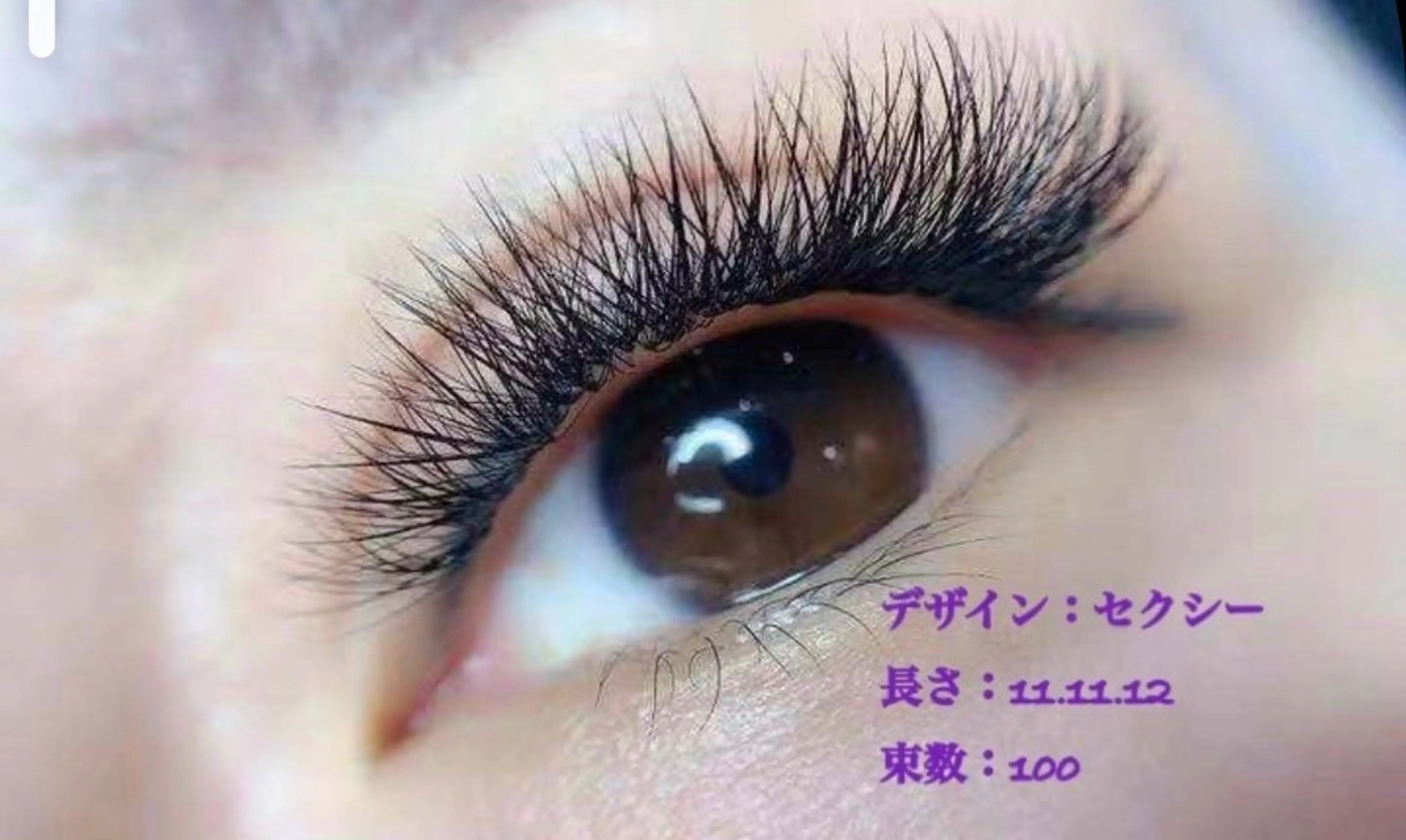 山茶花超濃密ボリュームラッシュ80束¥3980初回オフ無料 リピーター+¥1000の写真