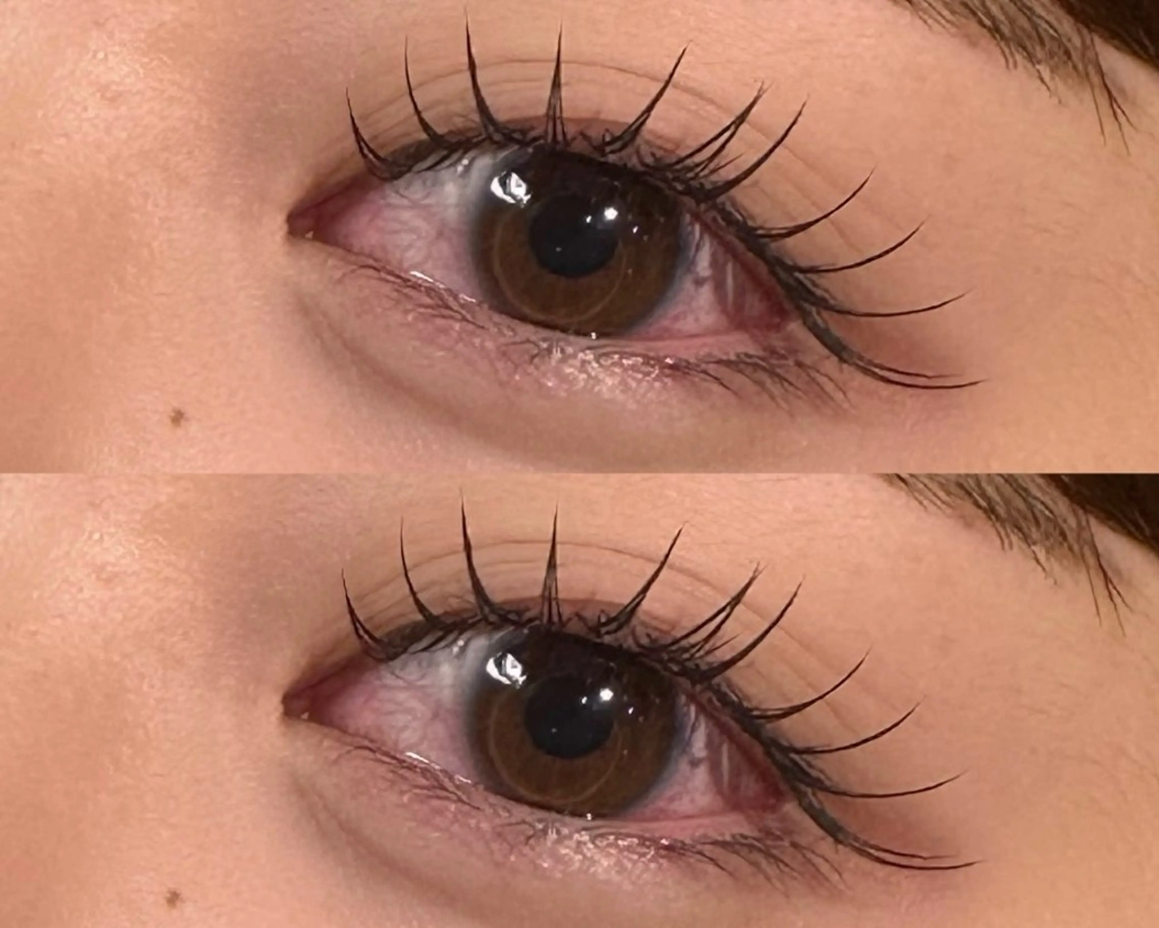 マツエク・マツパ フラットラッシュ eyelist ERINA〜.。🧸のマツエク・マツパデザイン