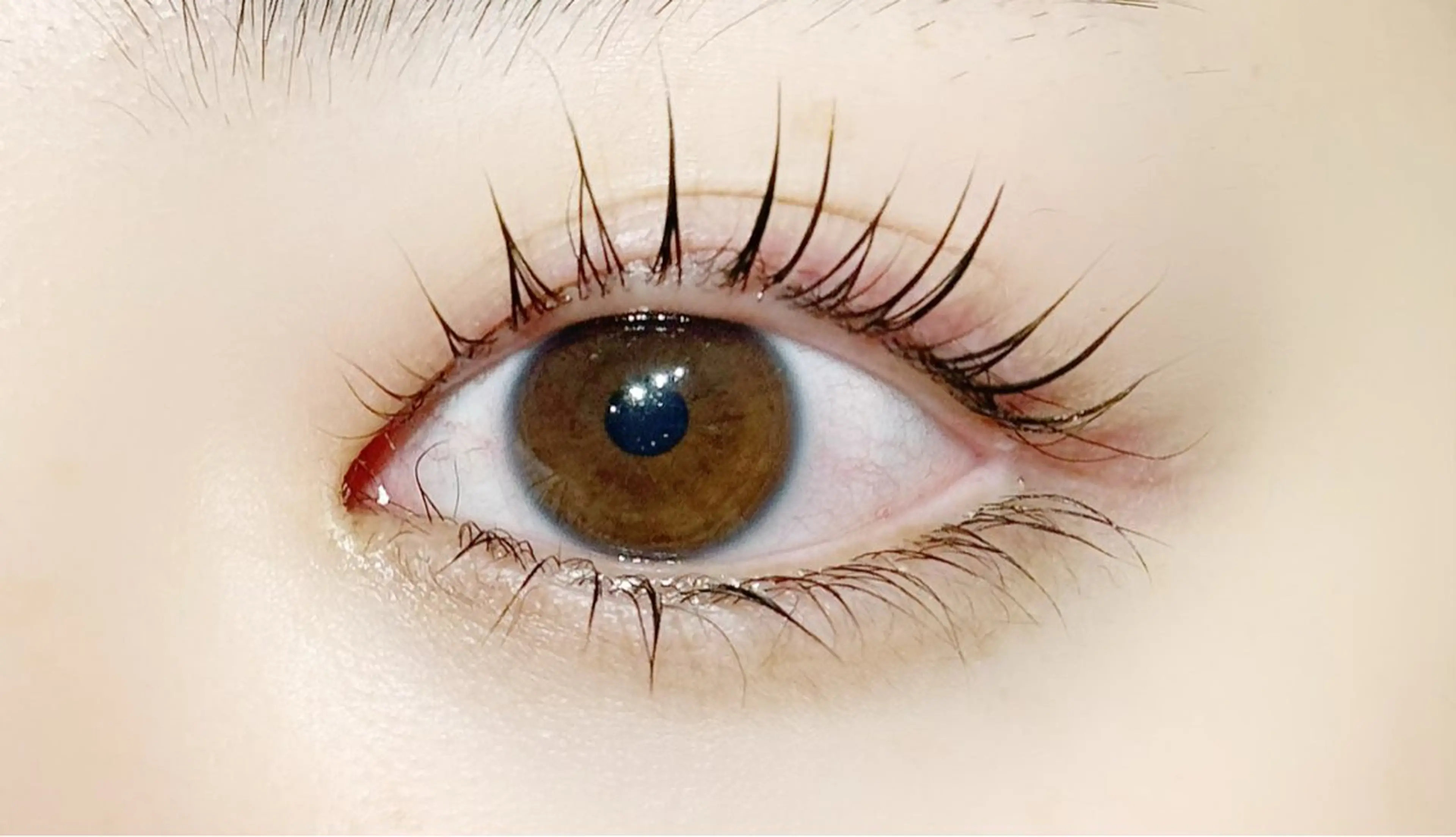 【目元ぱっちり👀💫】似合わせまつげパーマ上下＋束間仕上げ付き🫶🏻の写真