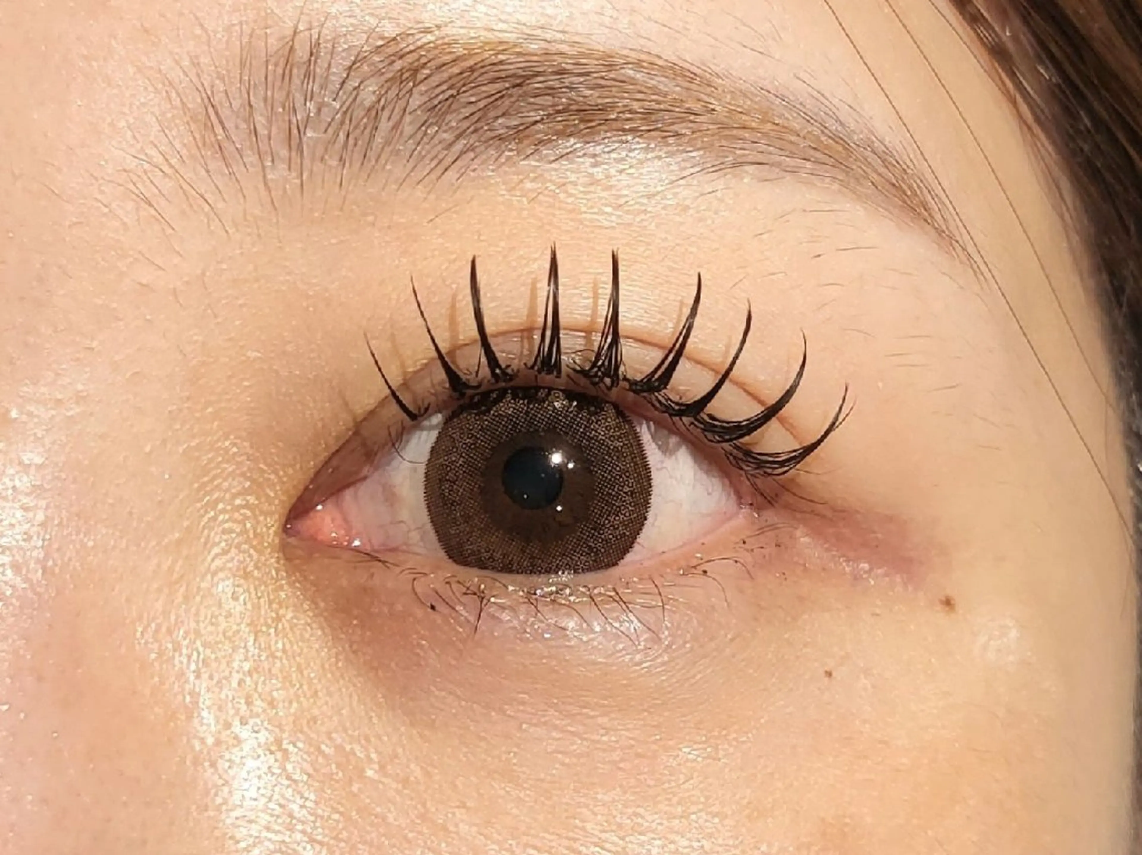 LEDエクステ【何色でもMIX可♡再来OK】ブラック、カラーフラットラッシュ120本♡コーティング込み♡の写真