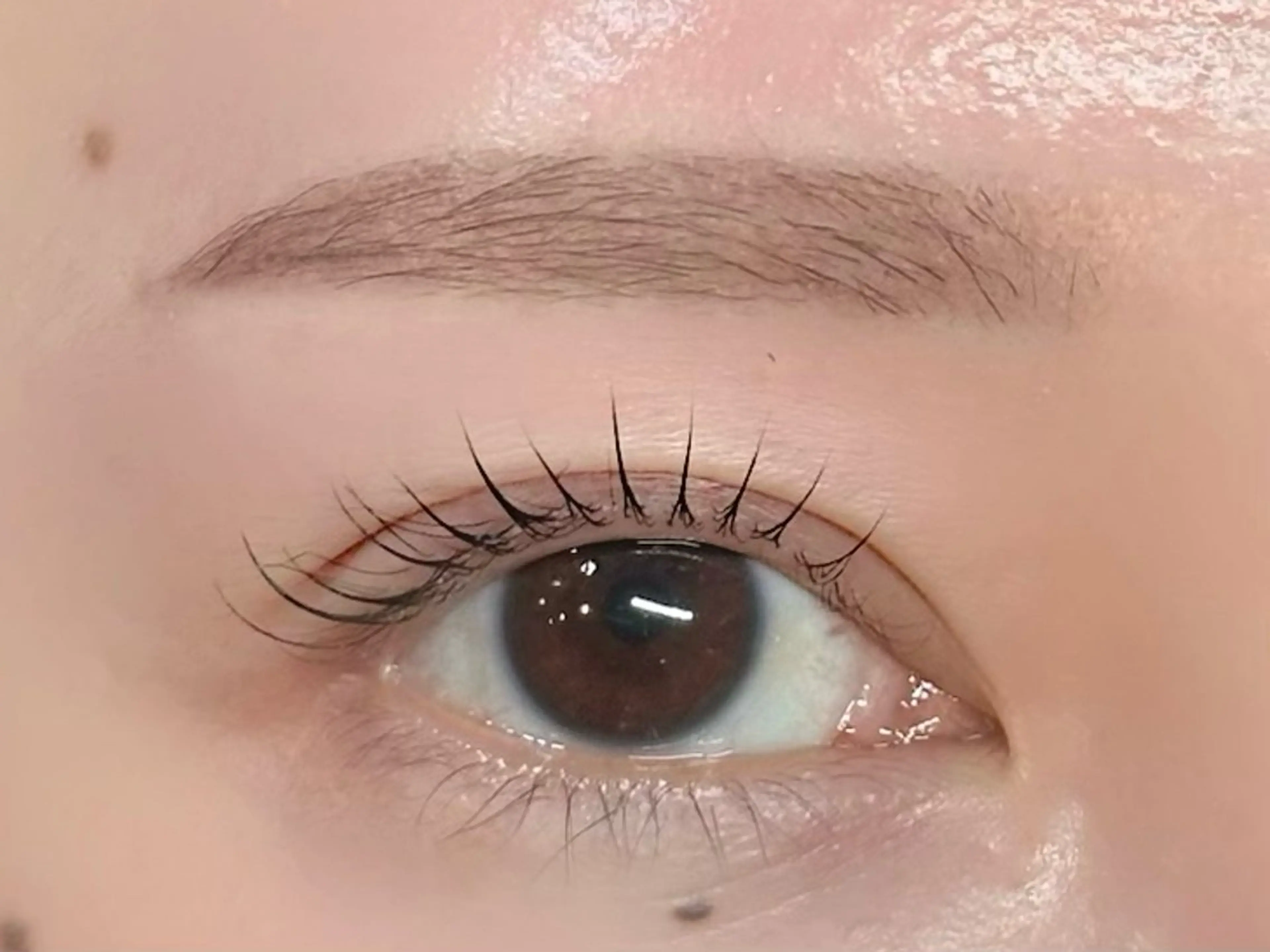 マツエク・マツパ 一重×まつ毛パーマ マツパ nerine akaneのマツエク・マツパデザイン