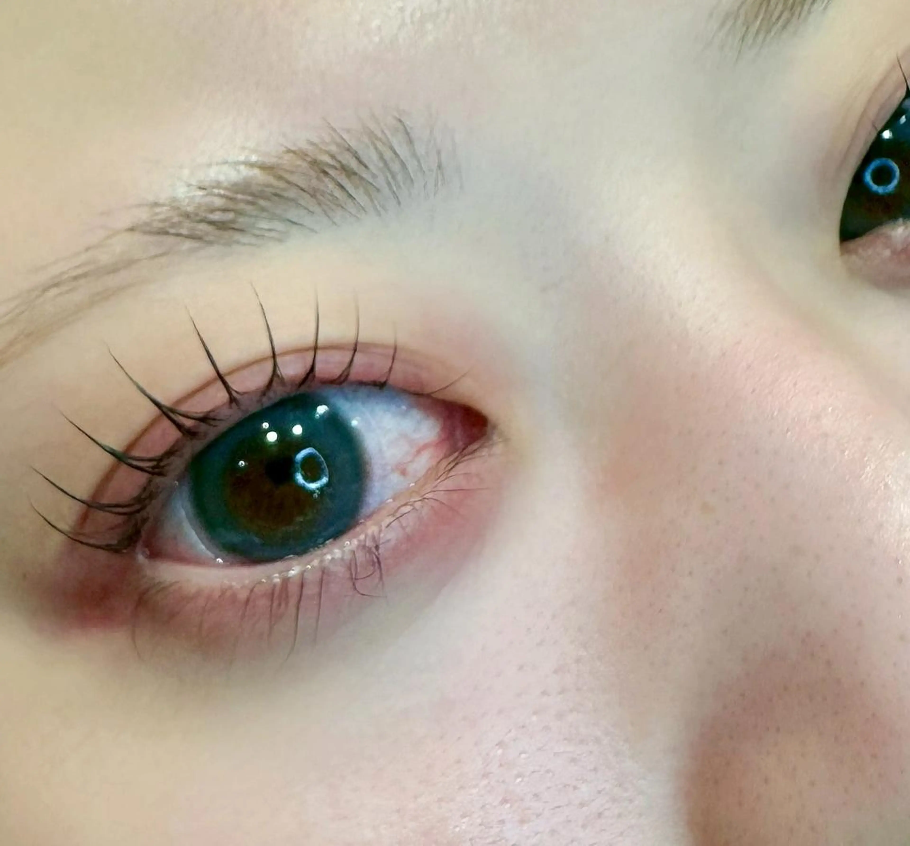 平日新規様限定🌱似合わせまつ毛パーマ【¥5,500→¥3880】の写真