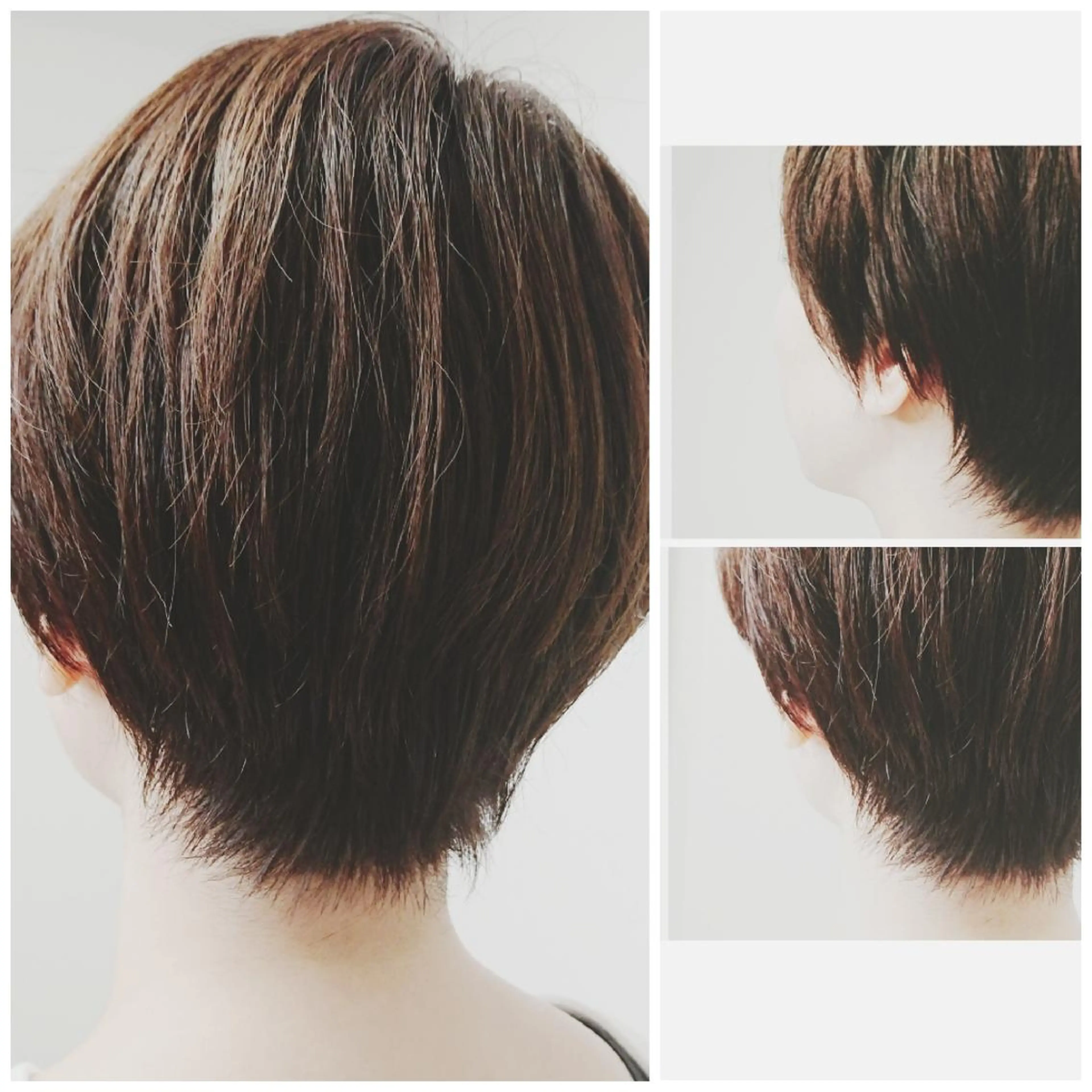 ショート ショートヘア カット ヘアカラー トリートメント SASAKI  MASAAKI のヘアスタイル