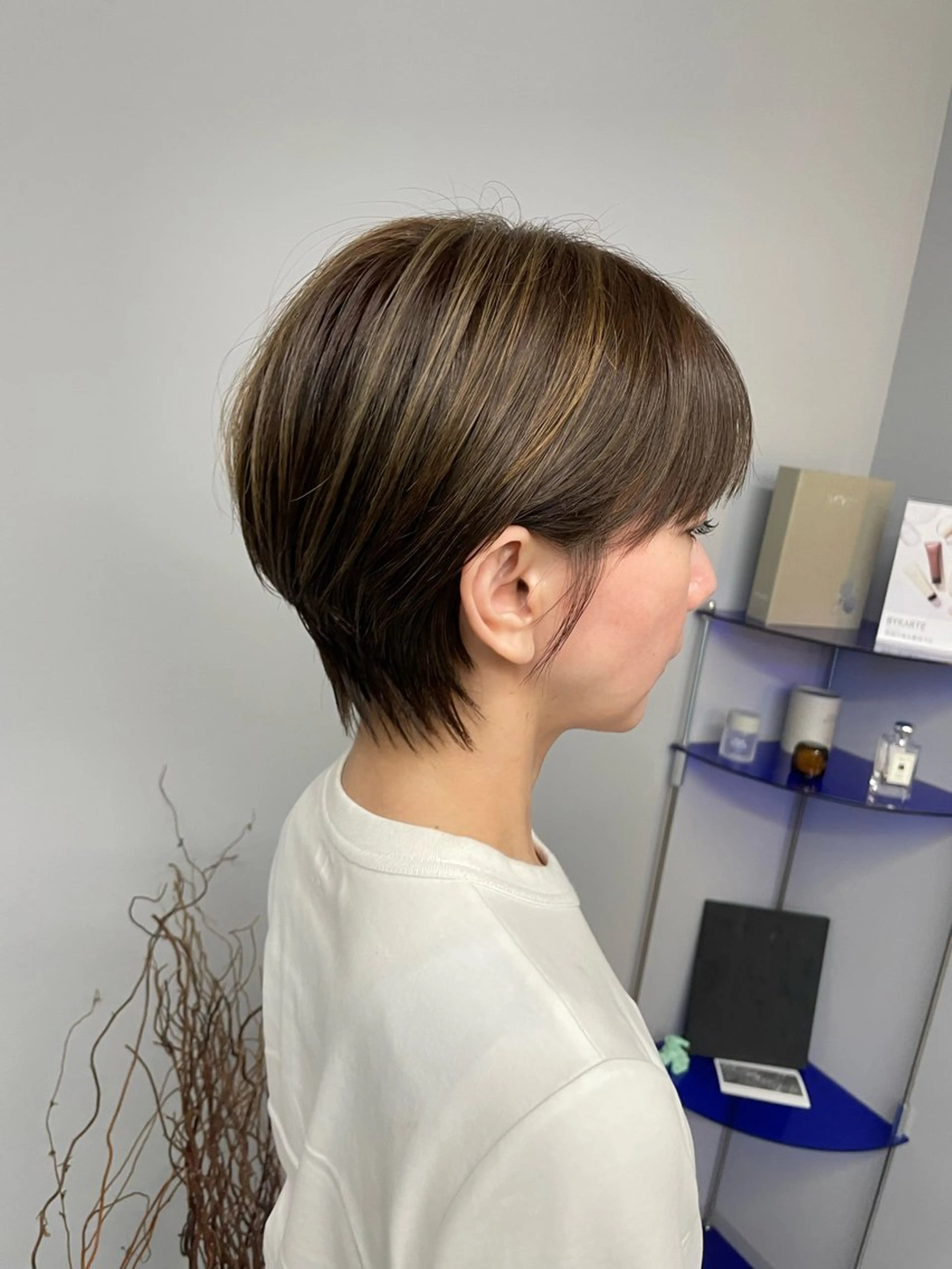 ショート カラー ベージュカラー ブラウンカラー 透明感カラー ハイライトカラー ハイライト 藤田 海斗のヘアスタイル