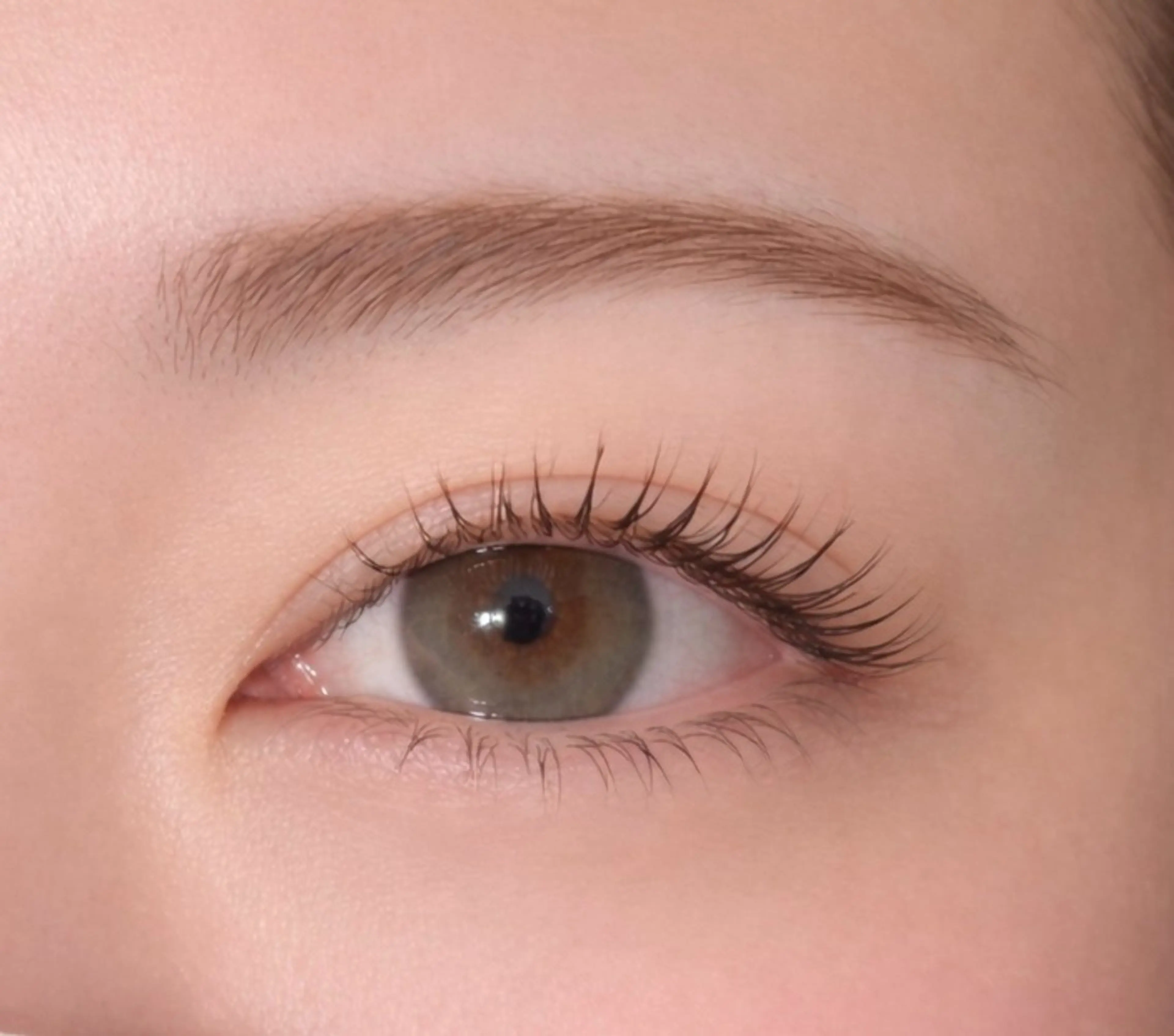 🌟まつ毛パーマ➕アイブロウWAXの写真