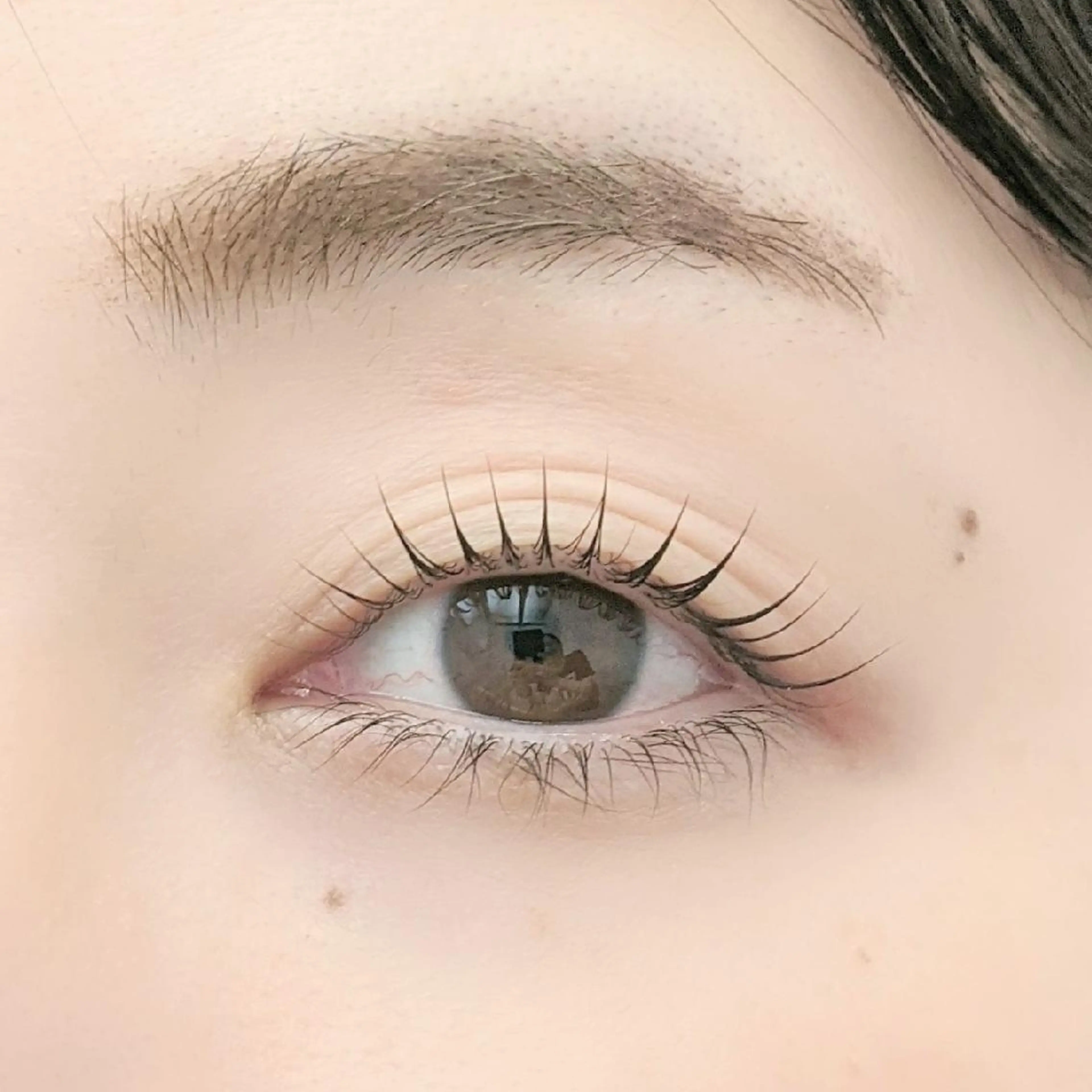 【ミニモ限定】ラッシュリフト+アイシャンプー&トリートメントの写真