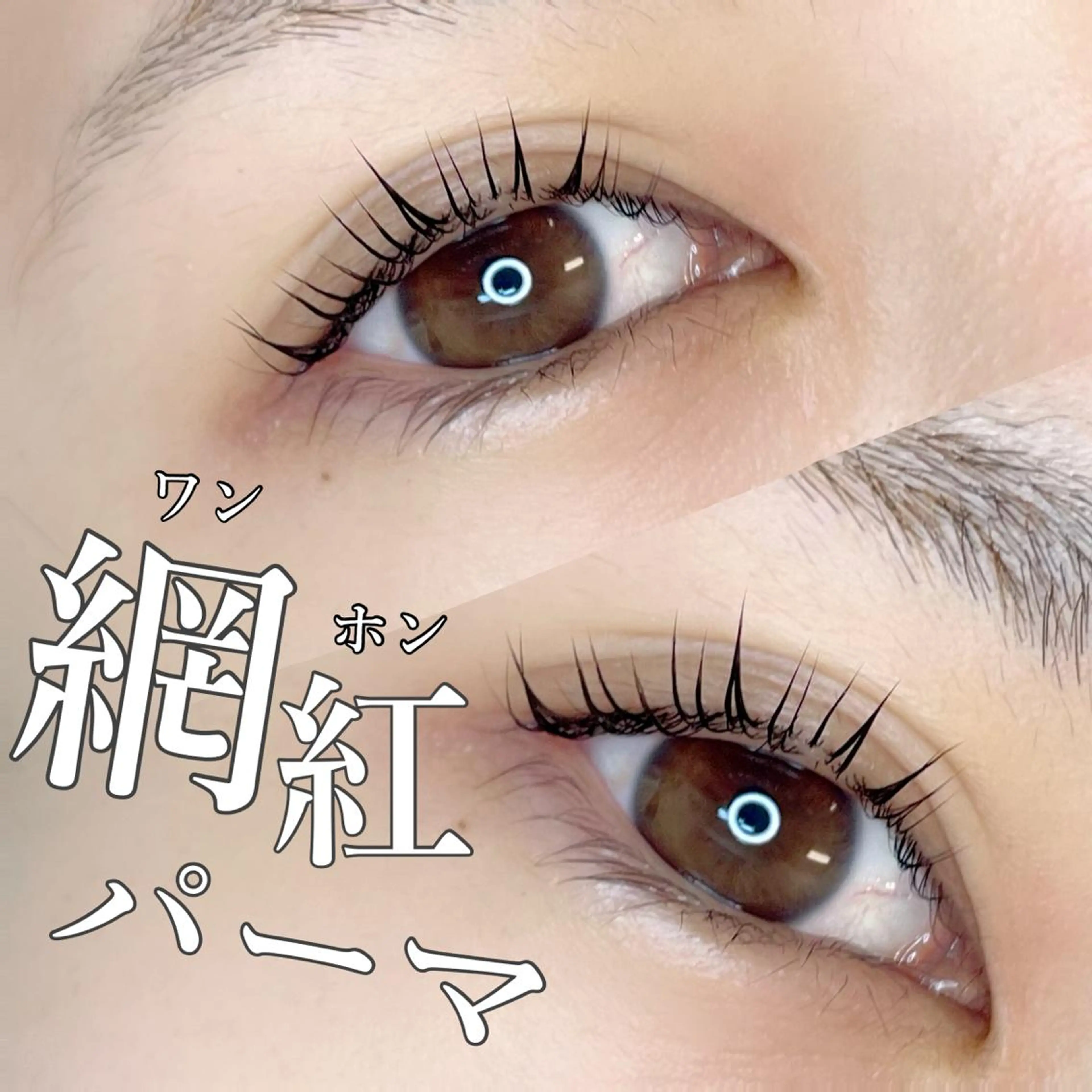 【TikTokで話題!】ワンホンまつ毛パーマ🇨🇳束感仕上げの写真