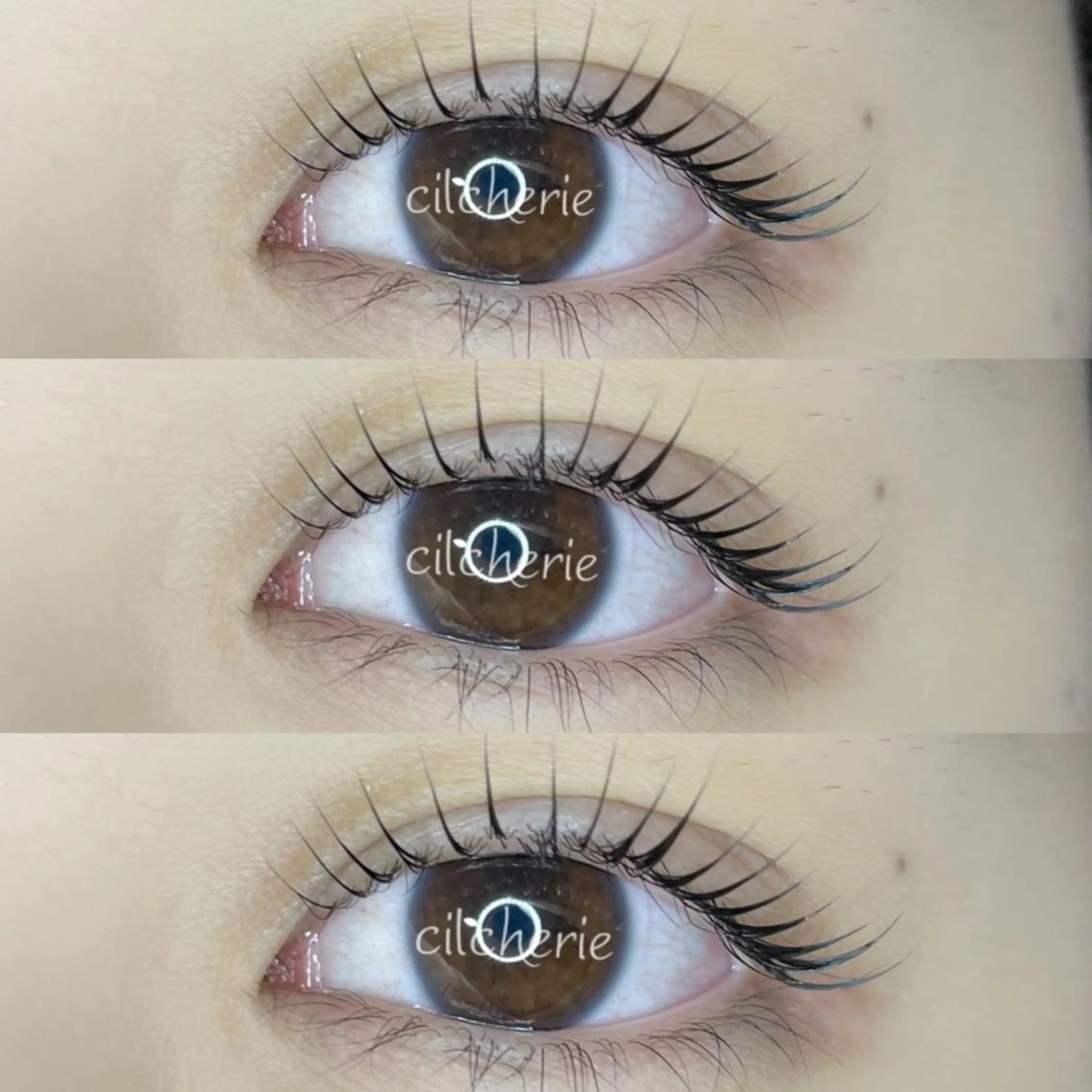 マツエク・マツパ パリジェンヌラッシュリフト マツパ cilcherie (シルシェリー)のマツエク・マツパデザイン