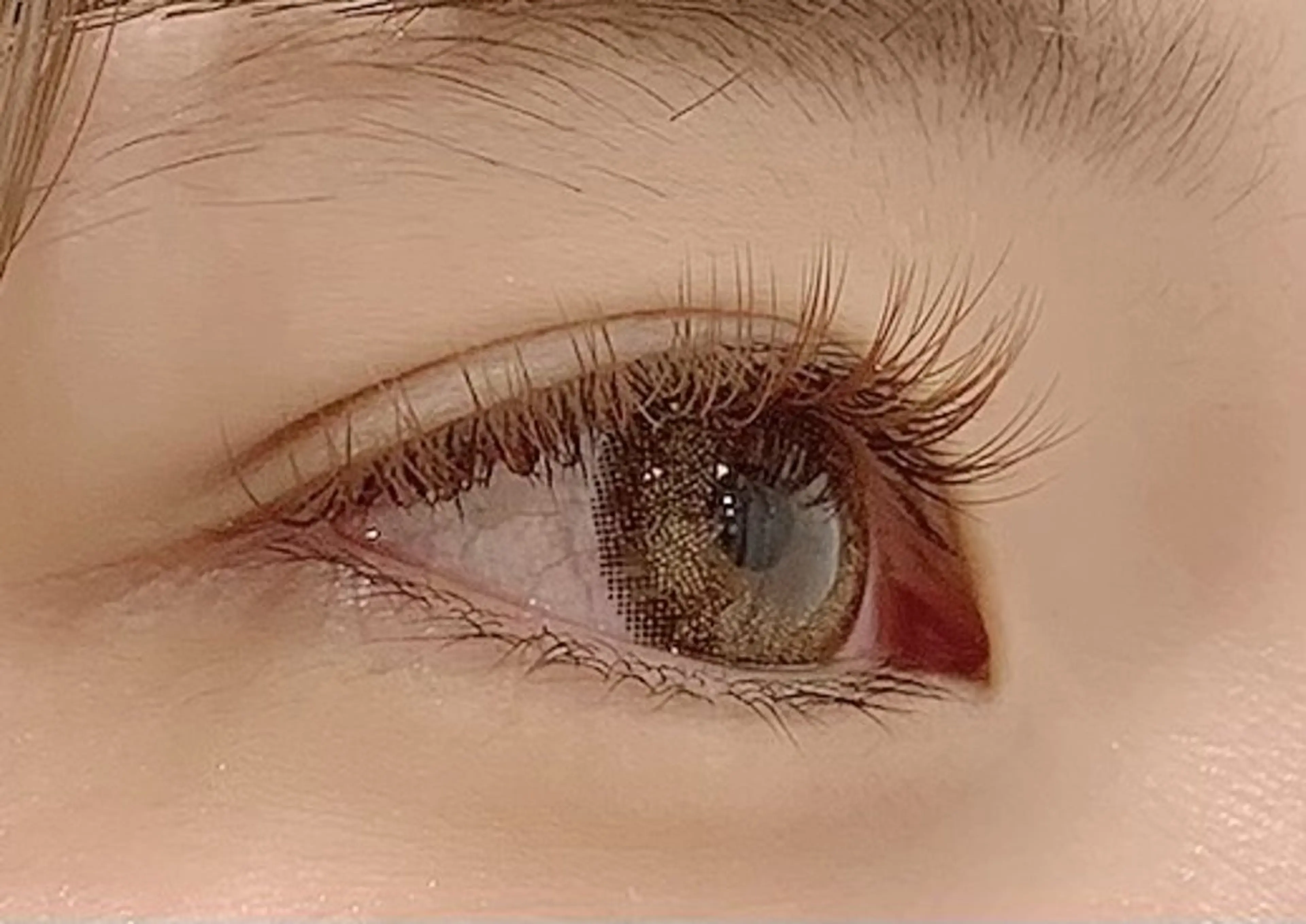 初回オフ無料◆撮影モデル様◆オールカラーフラットラッシュ100本🌟 ̖́-の写真