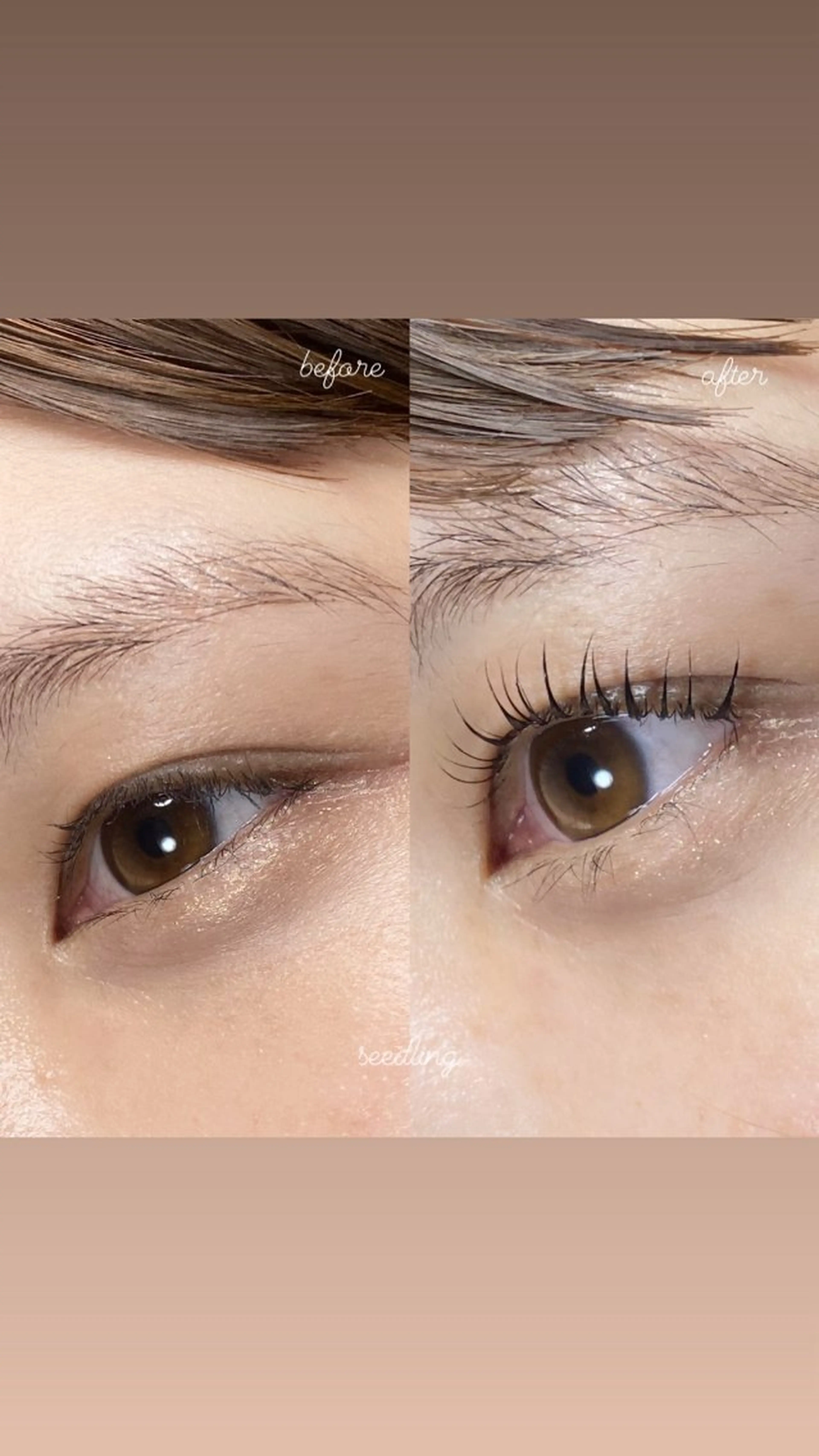 マツエク・マツパ マツパ シードリン 府内店 杉田のマツエク・マツパデザイン