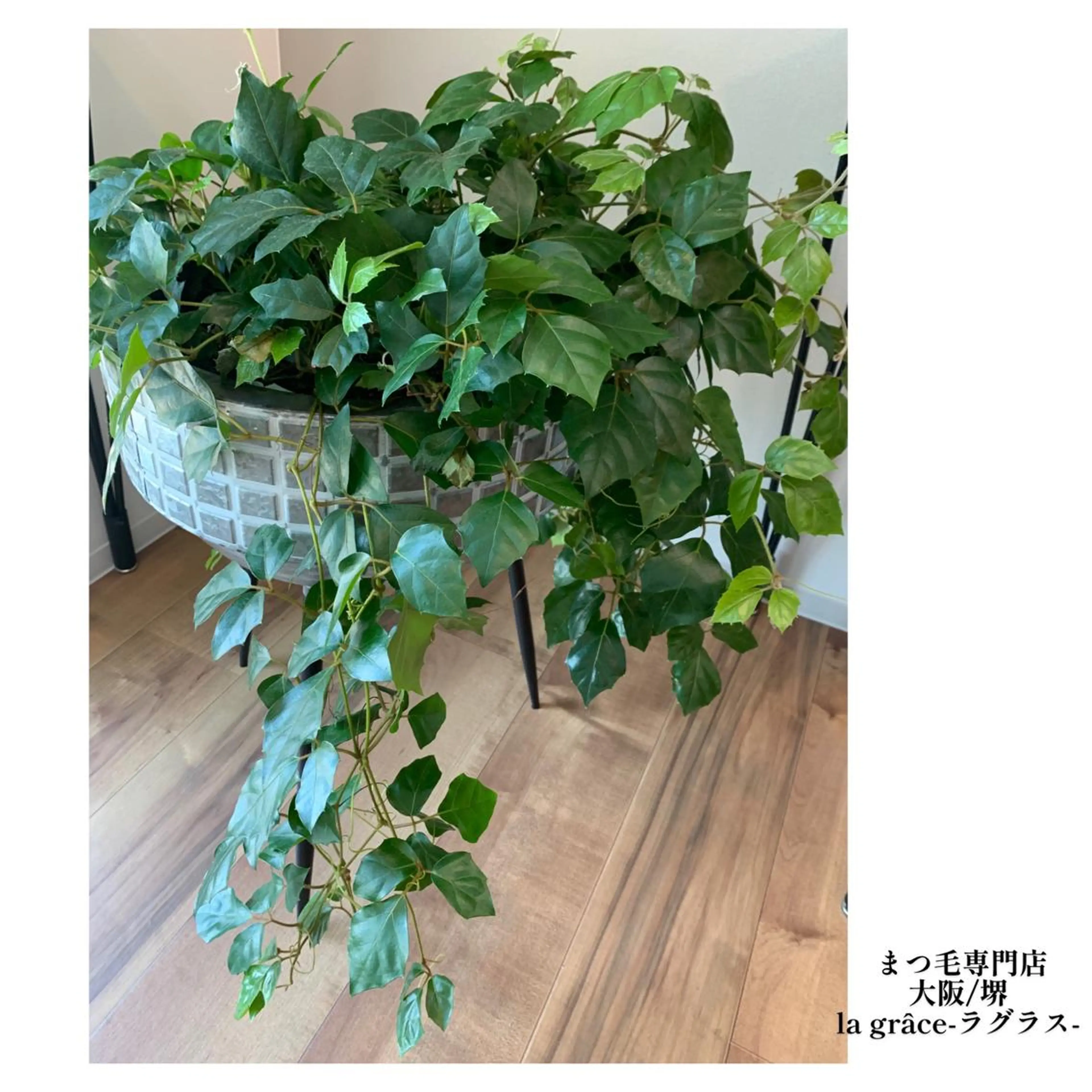 マツエク・マツパ yamawaki erinaのマツエク・マツパデザイン