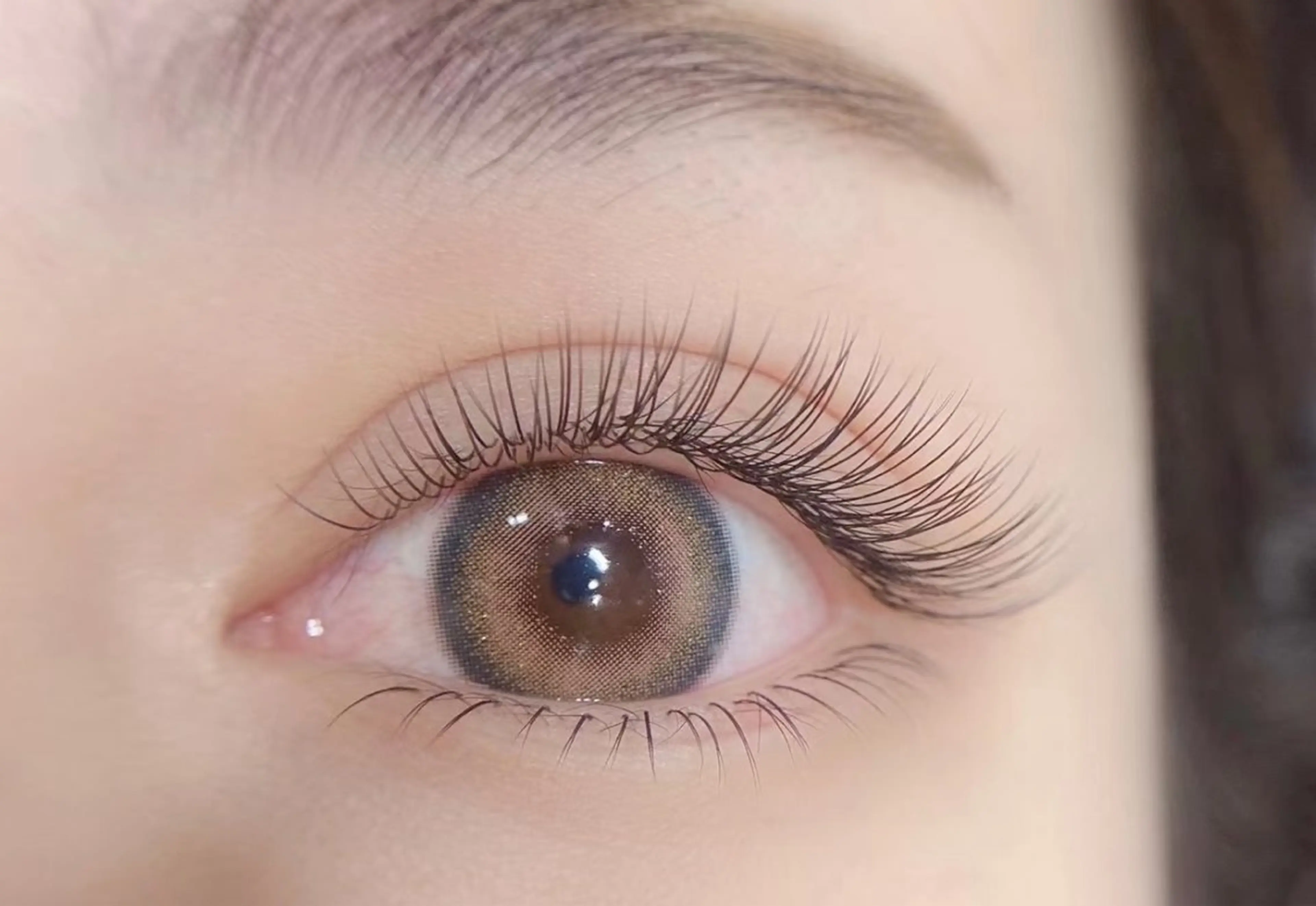 LED+【フラットラッシュ】つけ放題(200本保証)+下40本★(LC、LDカールある)★10780円❤️の写真