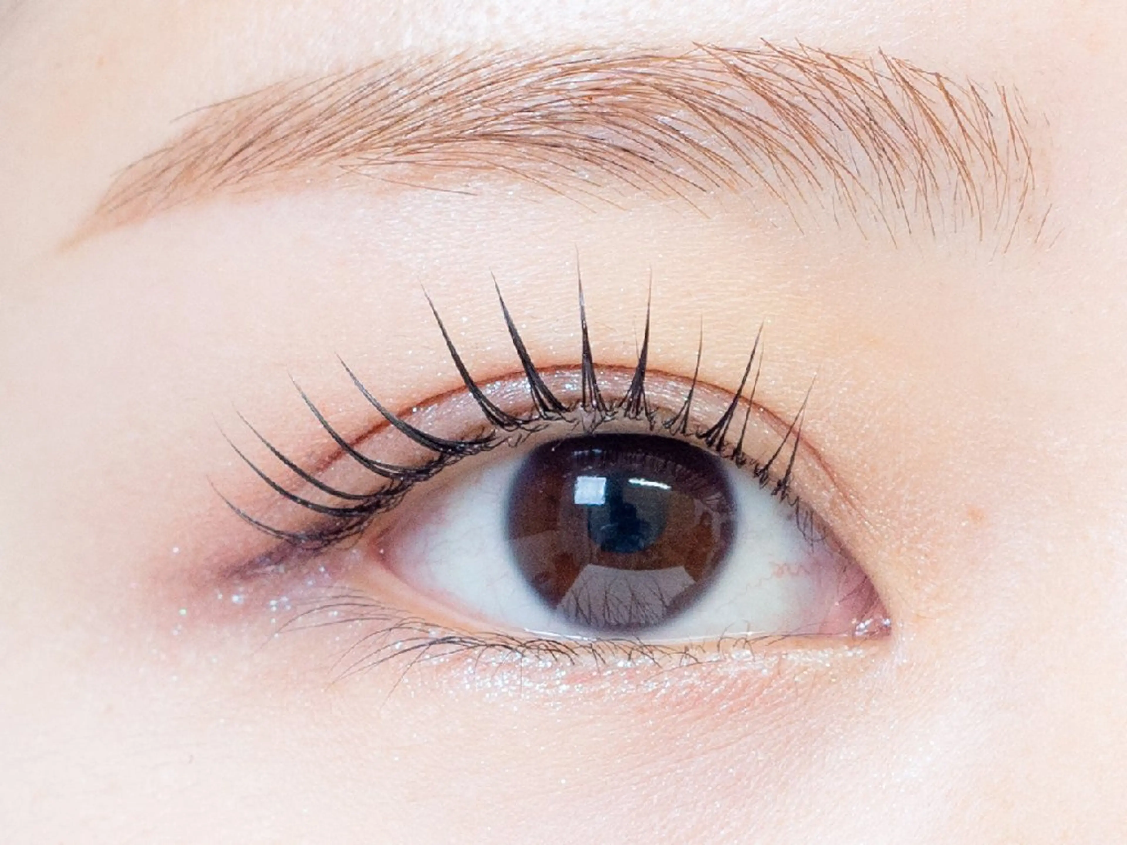 アイブロウ taachi due yumiの眉毛・アイブロウイメージ