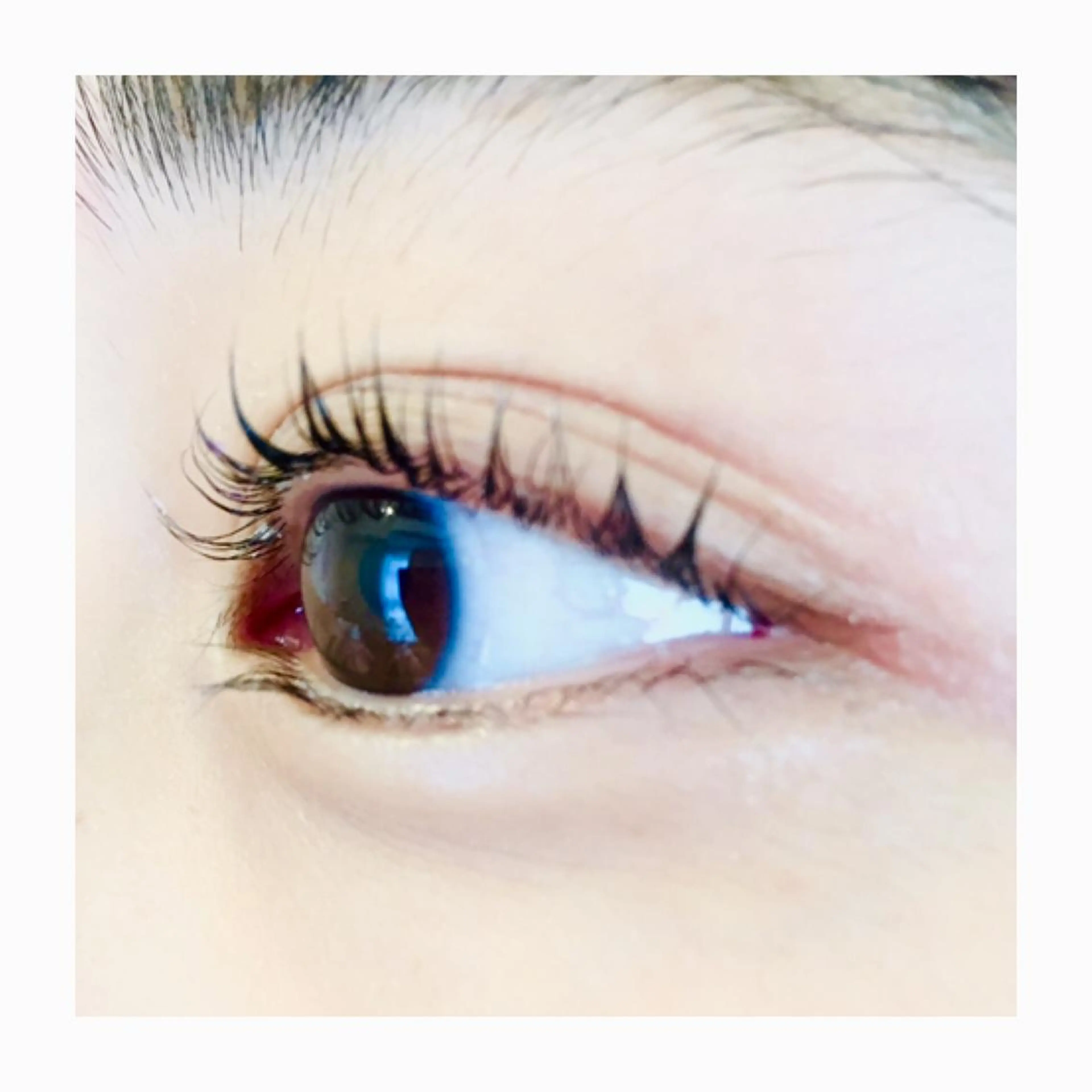 マツエク・マツパ Fura Cocoのマツエク・マツパデザイン