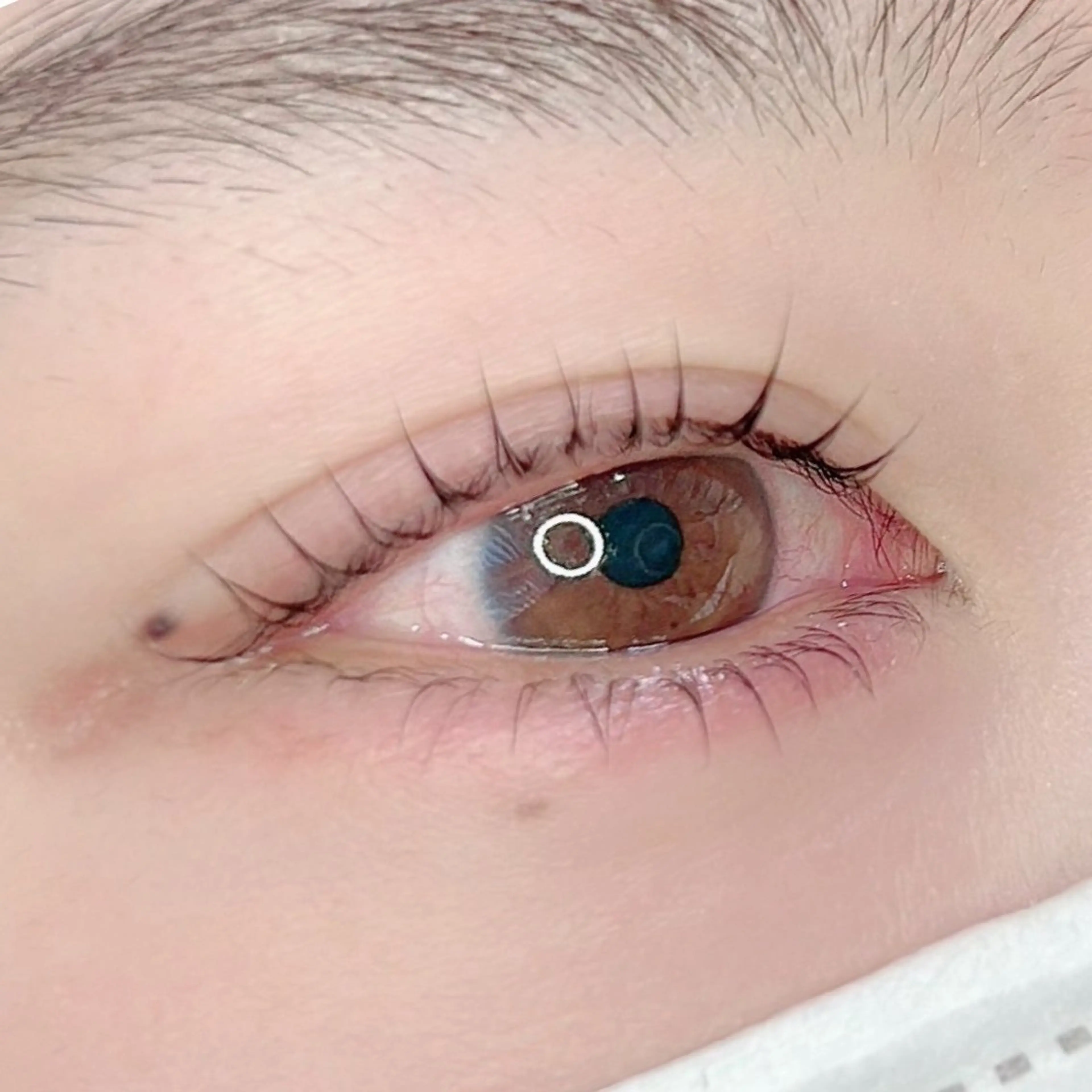 🌙《ラッシュリフト🫧》束感デザインが可愛い💖韓ドル風まつげパーマ［コーティング付］👀💎の写真