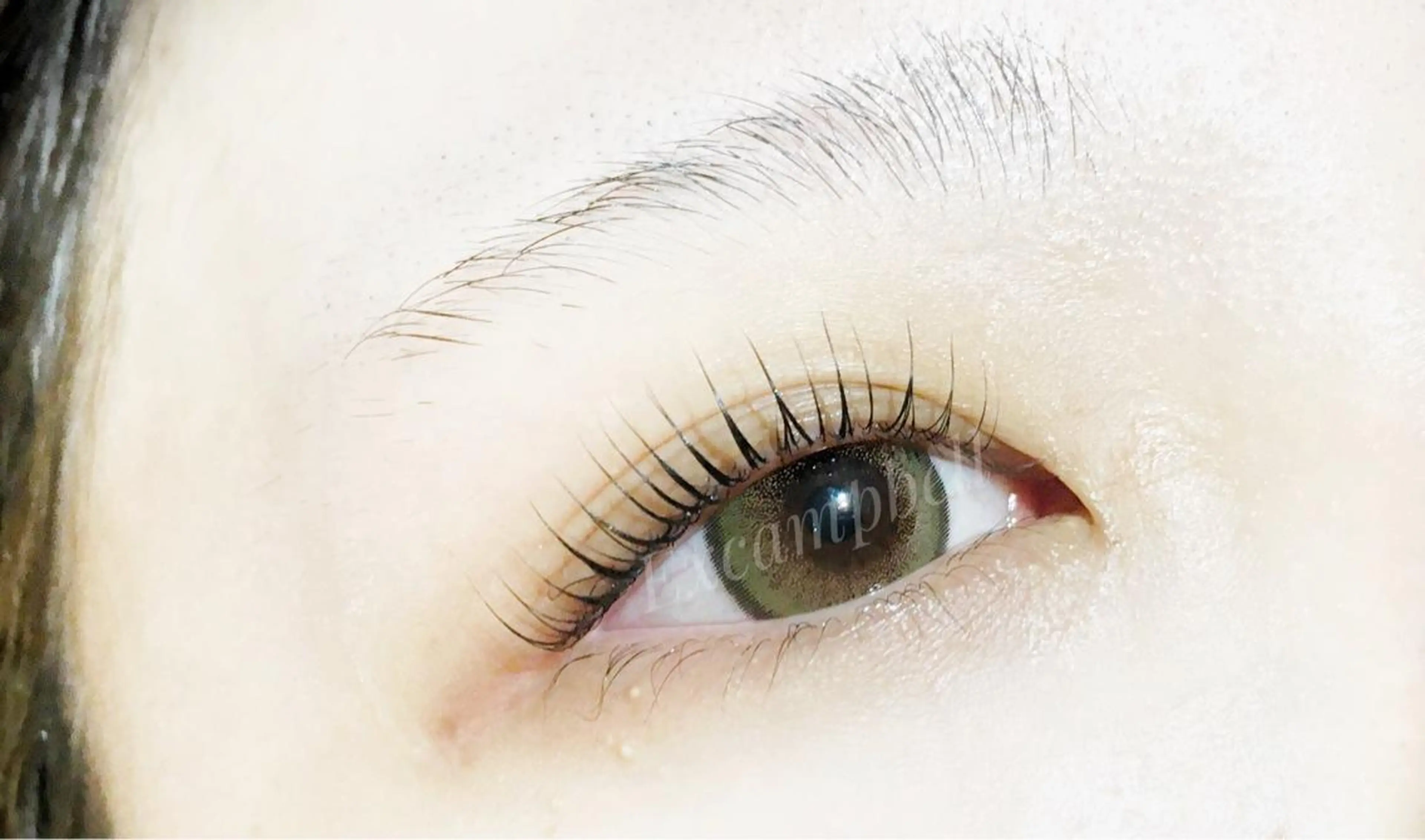 マツエク・マツパ エクスキャンベル 本店のマツエク・マツパデザイン