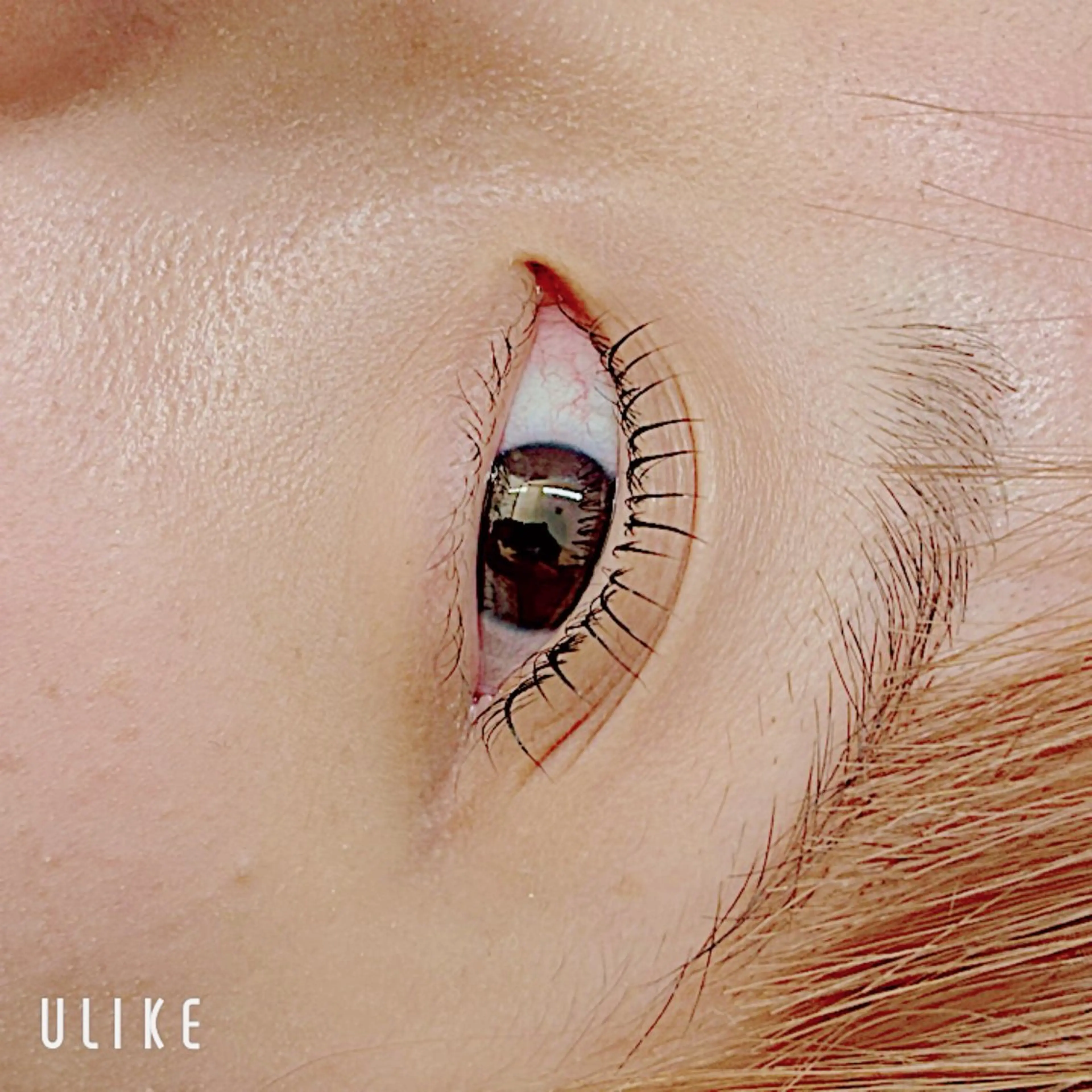 マツエク・マツパ TERRA MAYUのマツエク・マツパデザイン