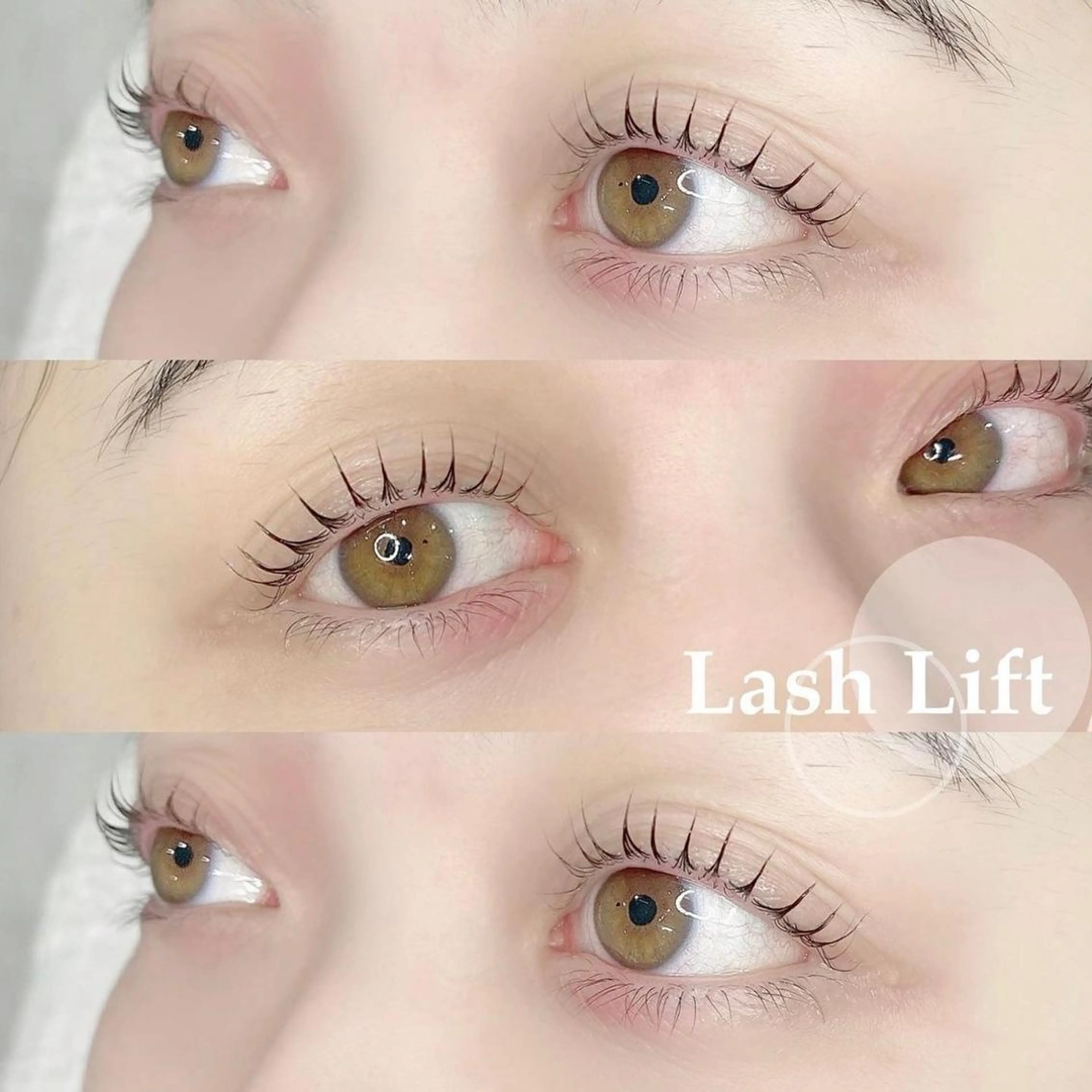 💎ミニモ限定価格💎 Hollywood eyebrow × ラッシュリフトの写真