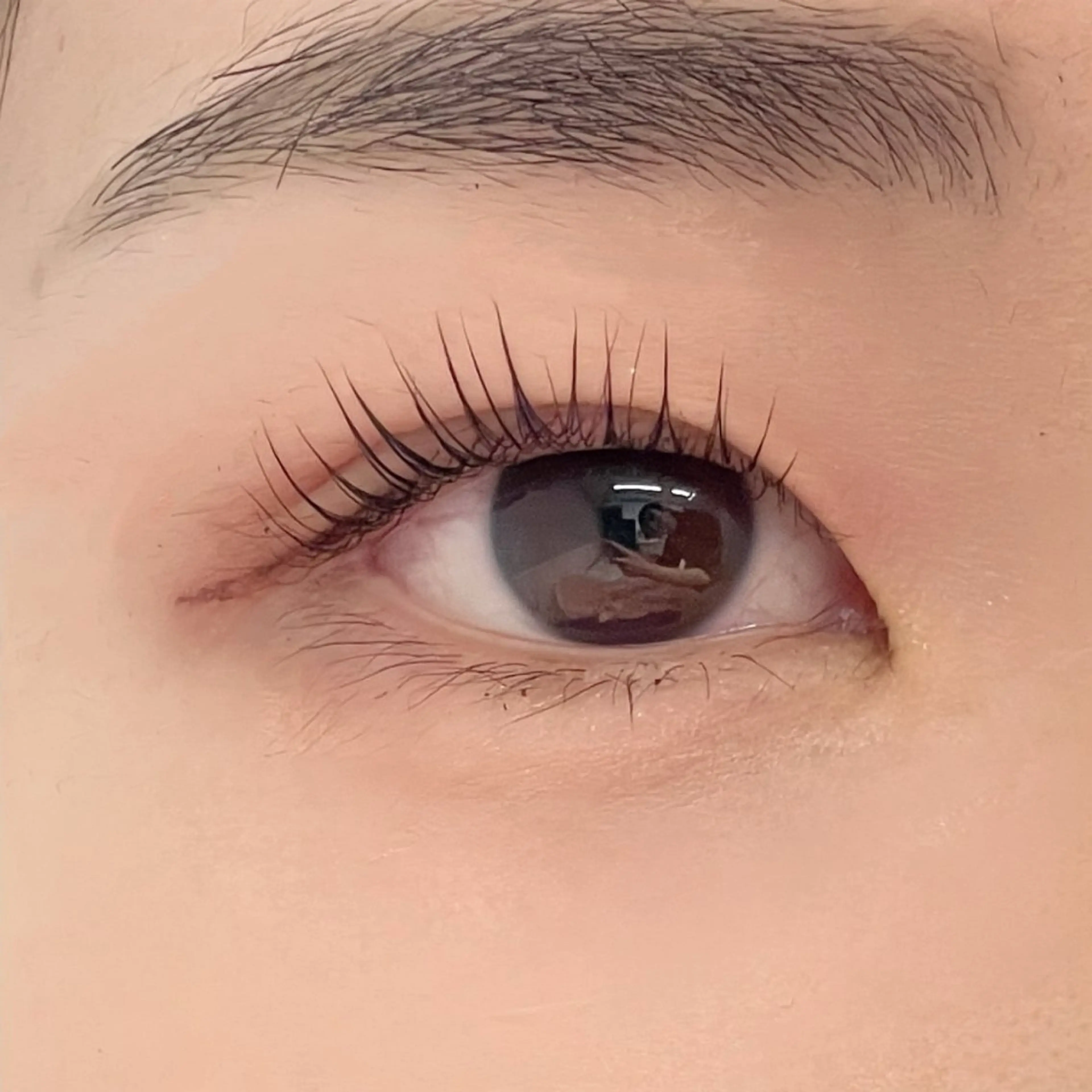 マツエク・マツパ マツパ GO TODAY シェアサロン 銀座Eclara店所属・mihiro 🐈⬛の眉毛・アイブロウイメージ