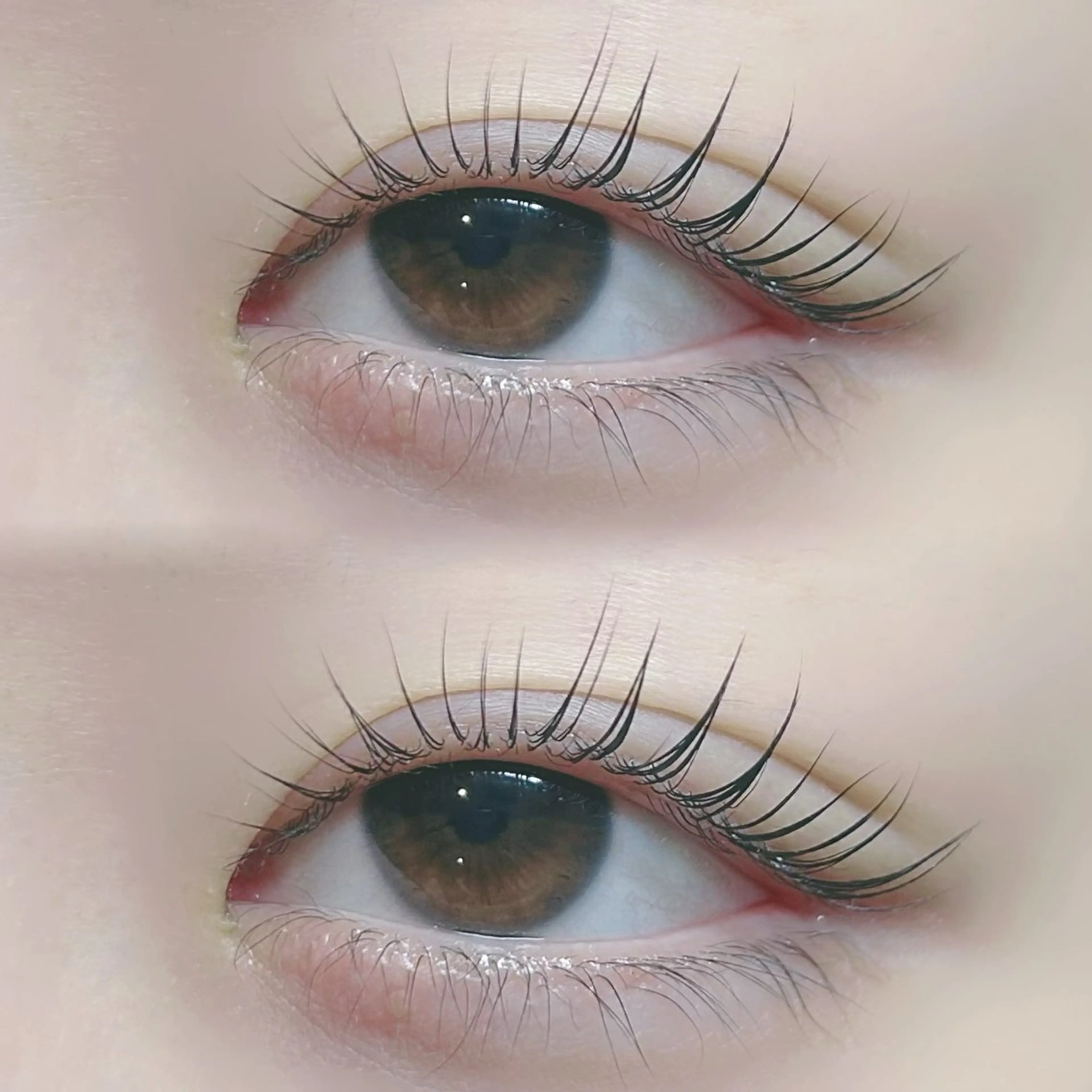 マツエク・マツパ 🤍 JURIのマツエク・マツパデザイン