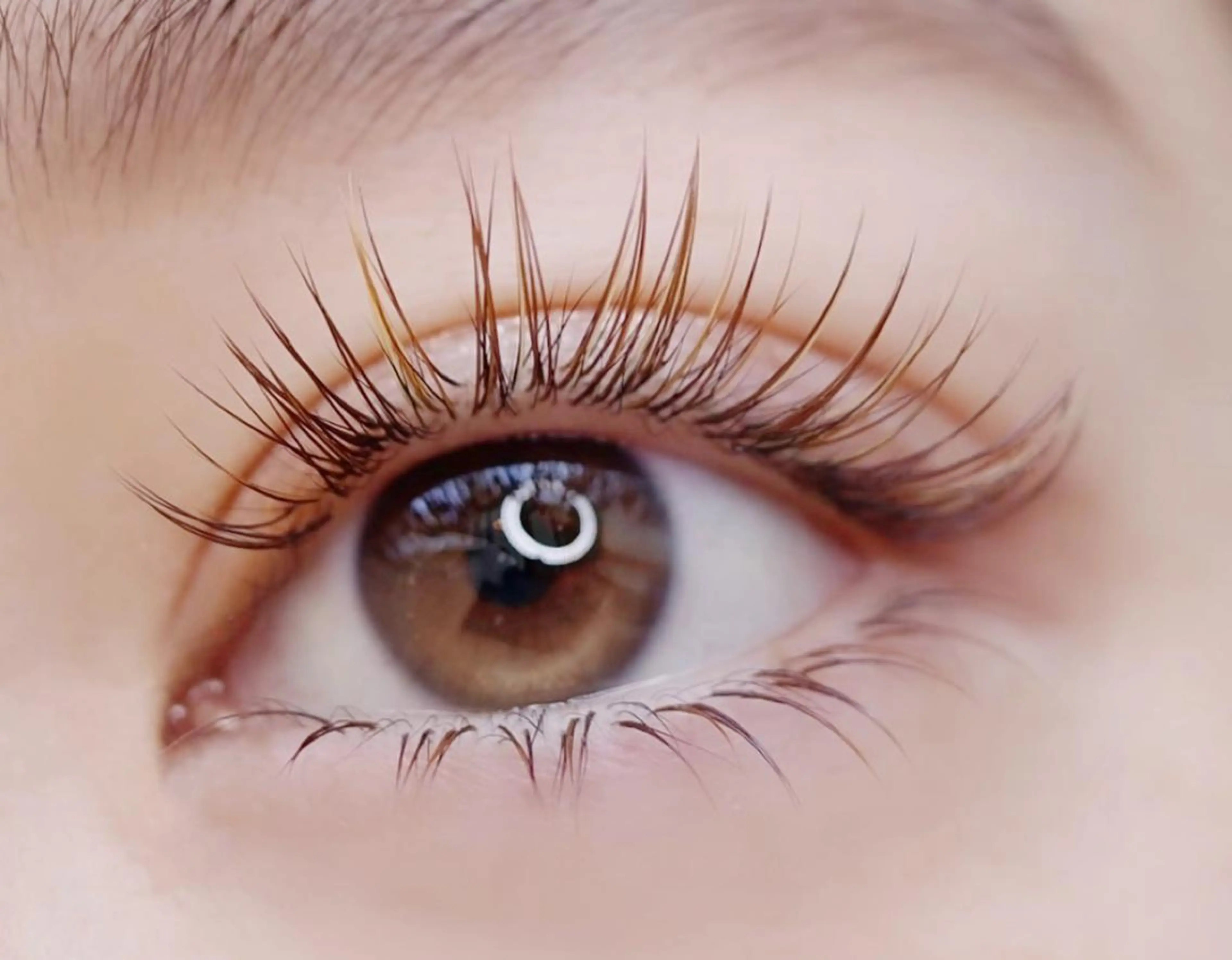 マツエク・マツパ アンジュベル Ginzaのマツエク・マツパデザイン