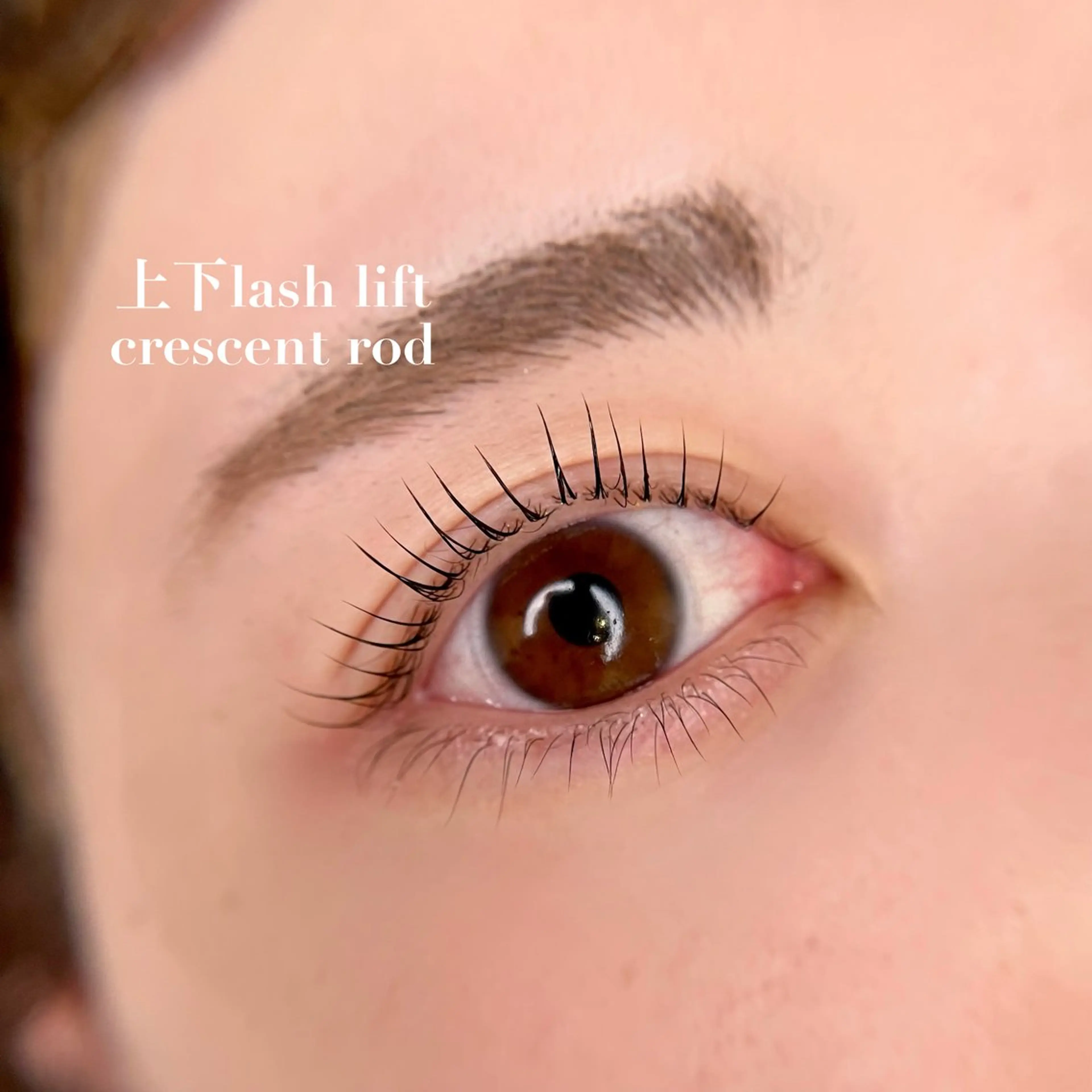 マツエク・マツパ パリジェンヌラッシュリフト Lian所属・【𝐋𝐢𝐚𝐧】 𝐑𝐢𝐨のマツエク・マツパデザイン