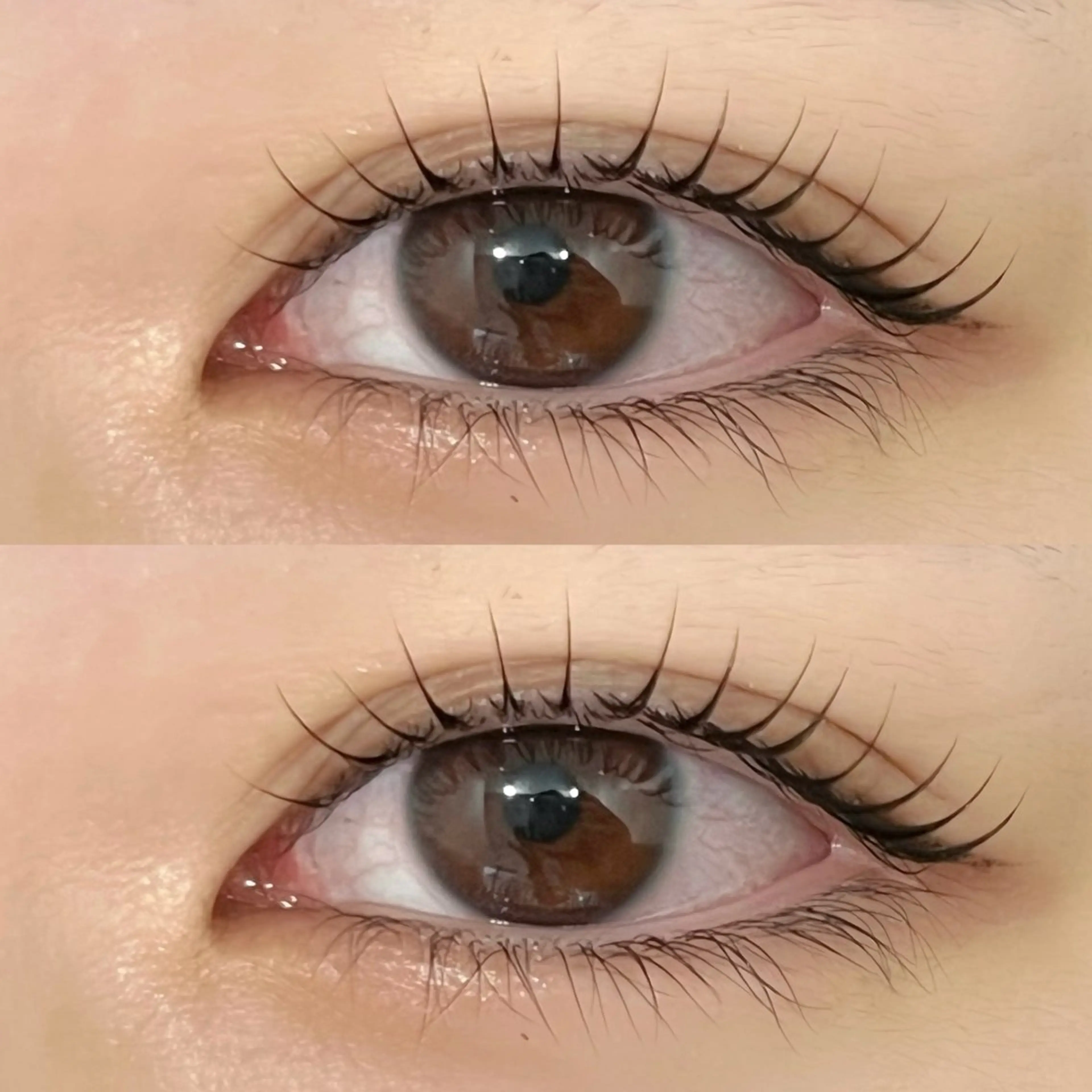 🫧 コーティング仕上げ ラッシュリフト（まつげパーマ） 🫧土日祝＋550の写真